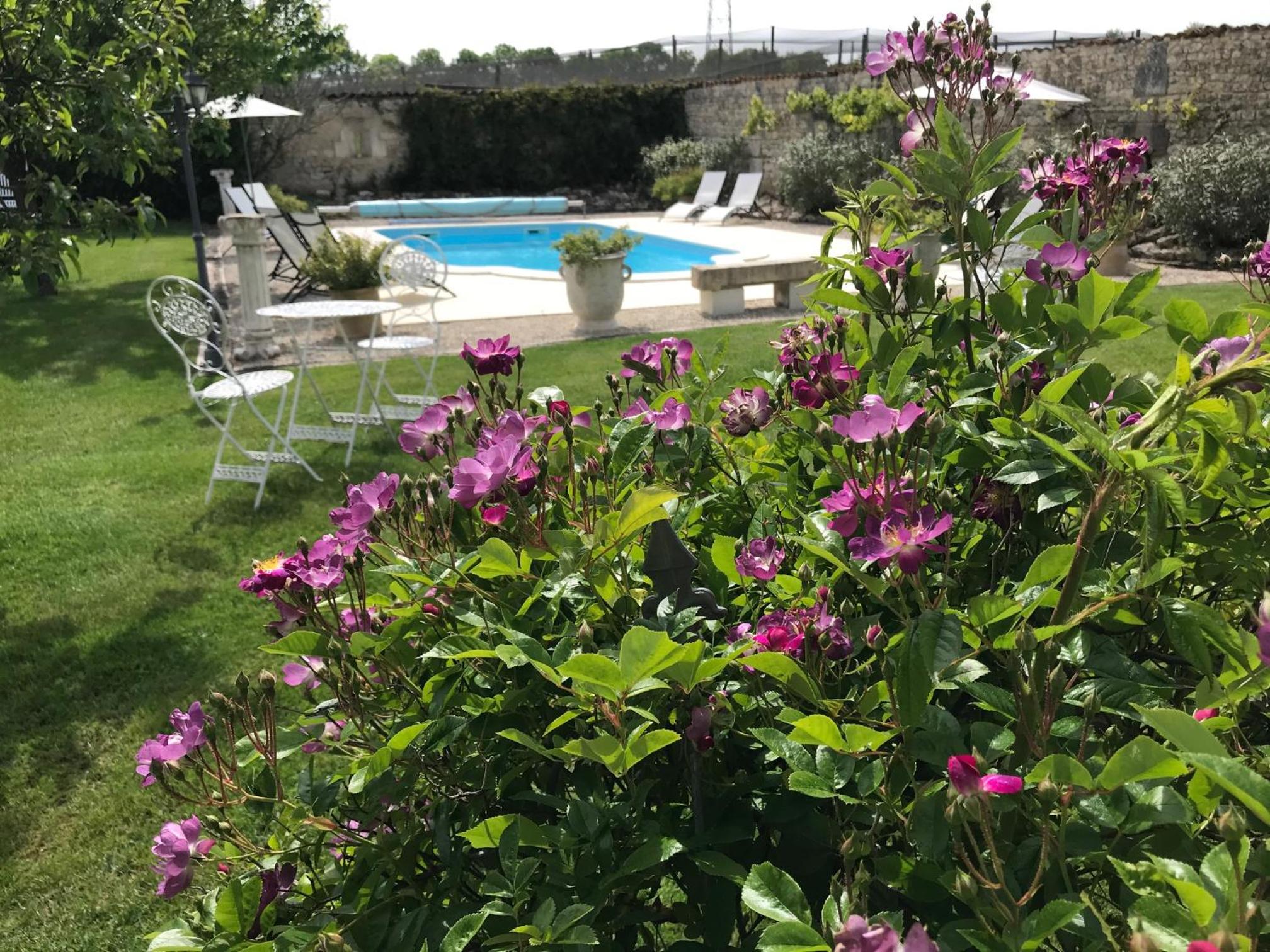 Photo 15
