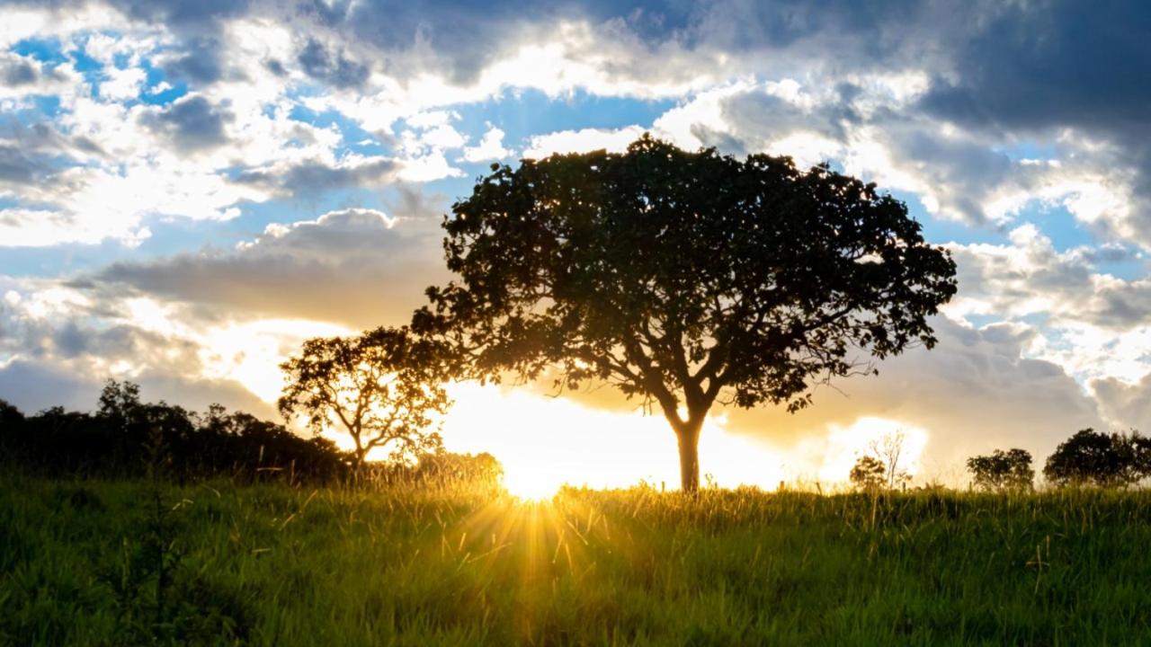 Fazenda Tarumã