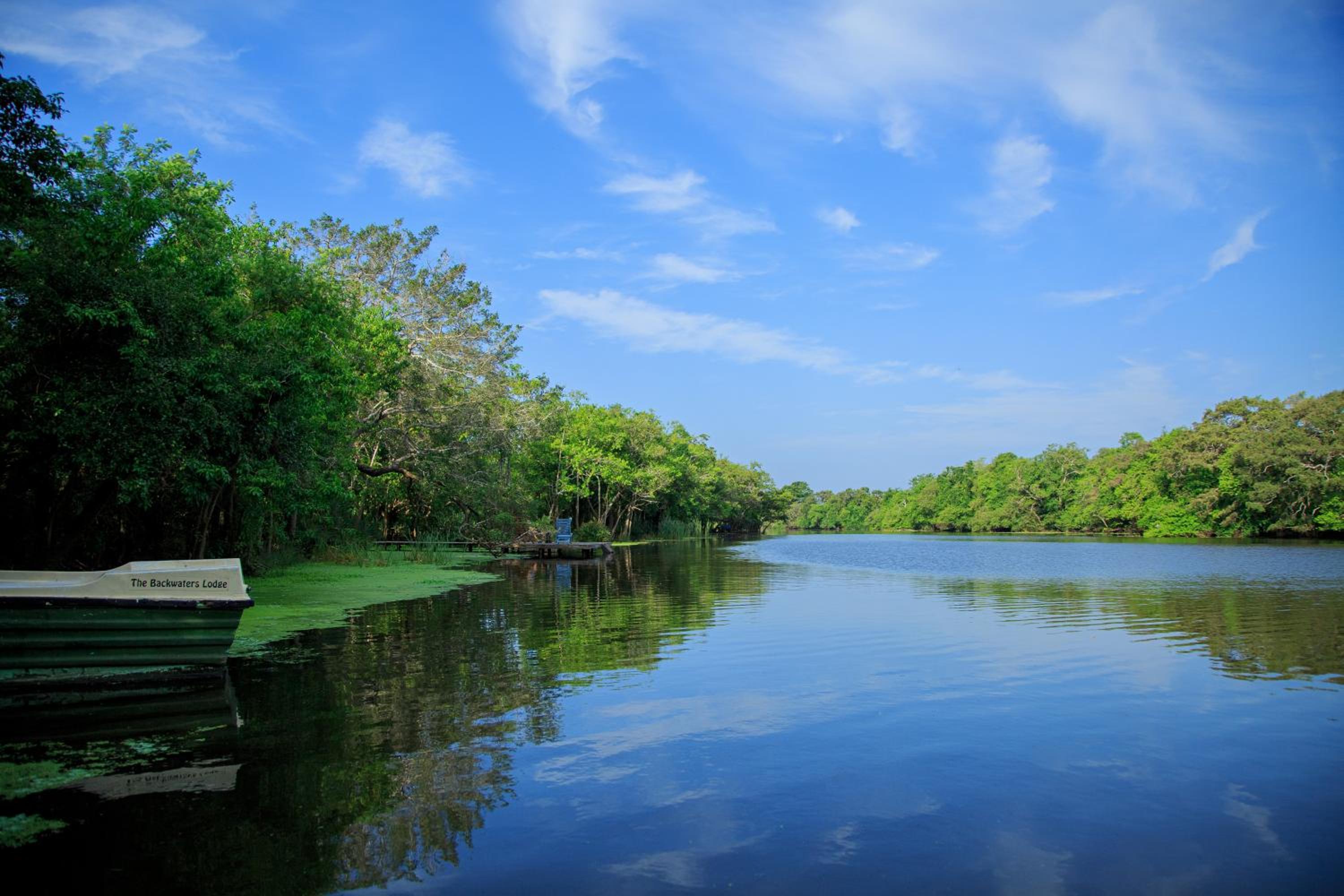 The Backwaters Lodge