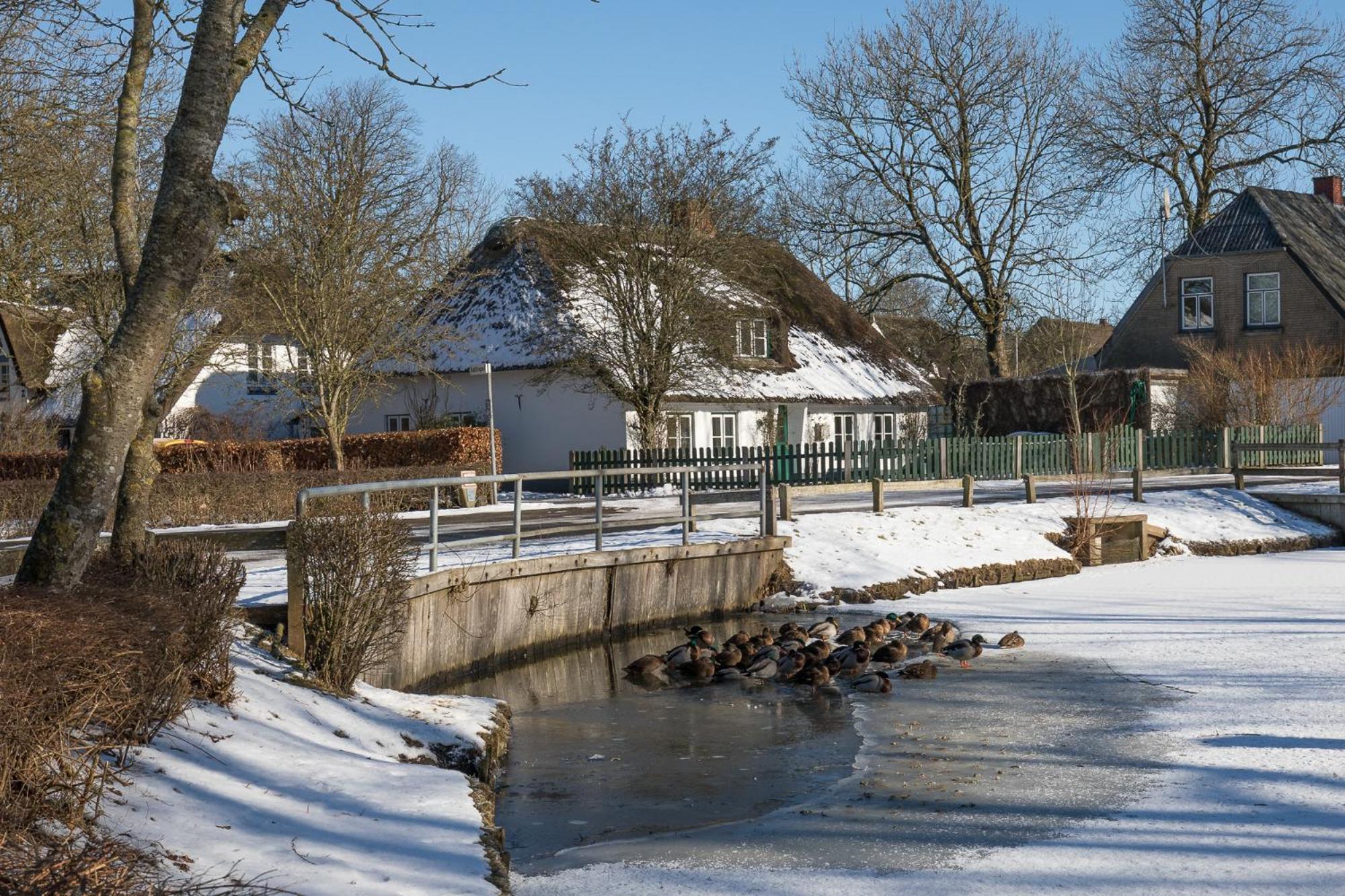 Ferien unter Reet