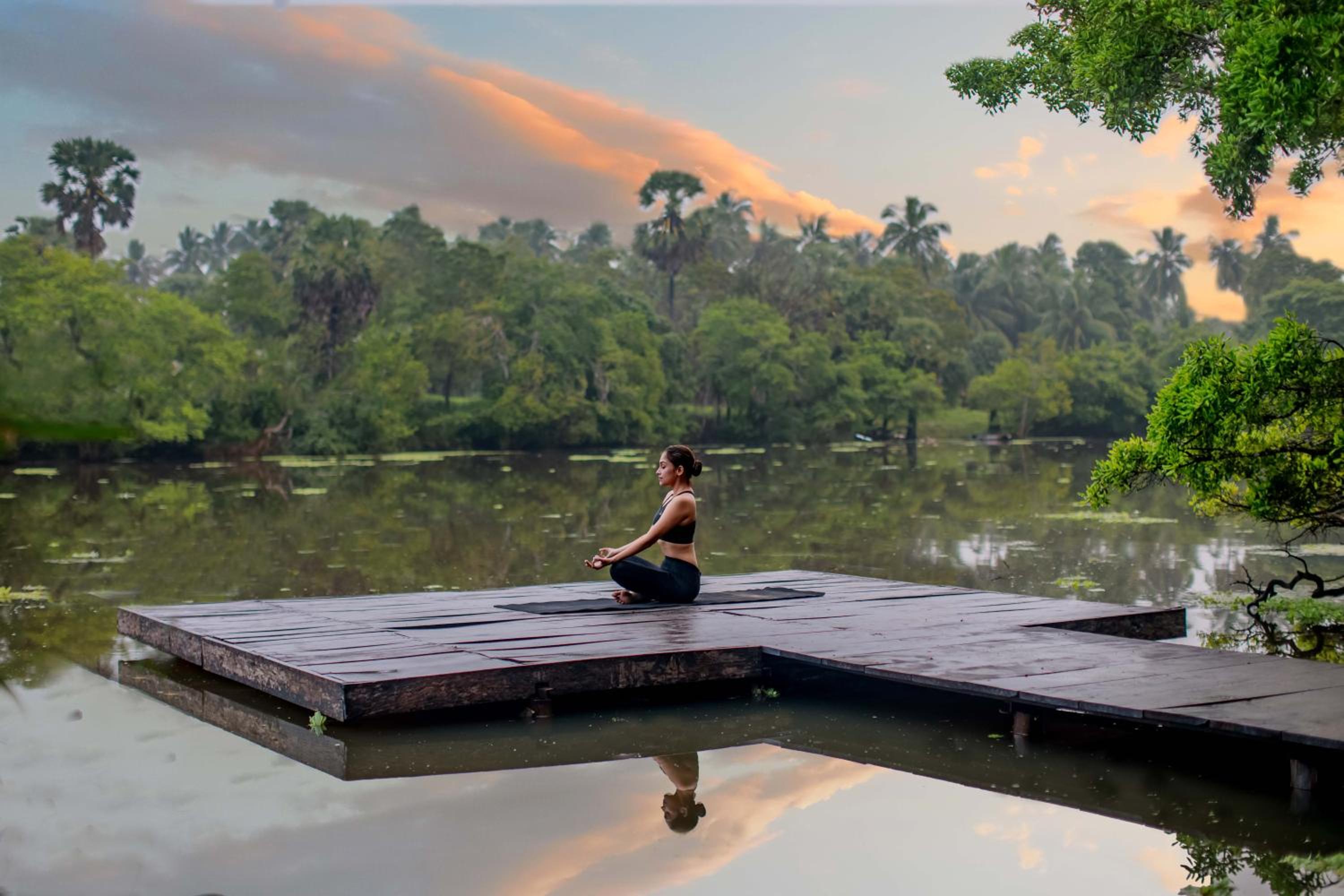 The Backwaters Lodge