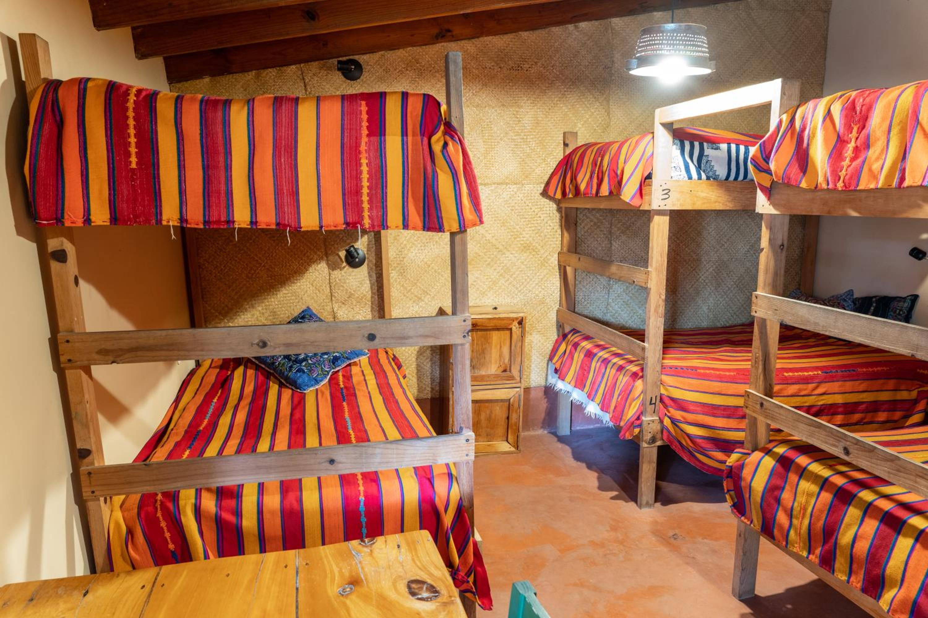 La Iguana Perdida - Hostel 116