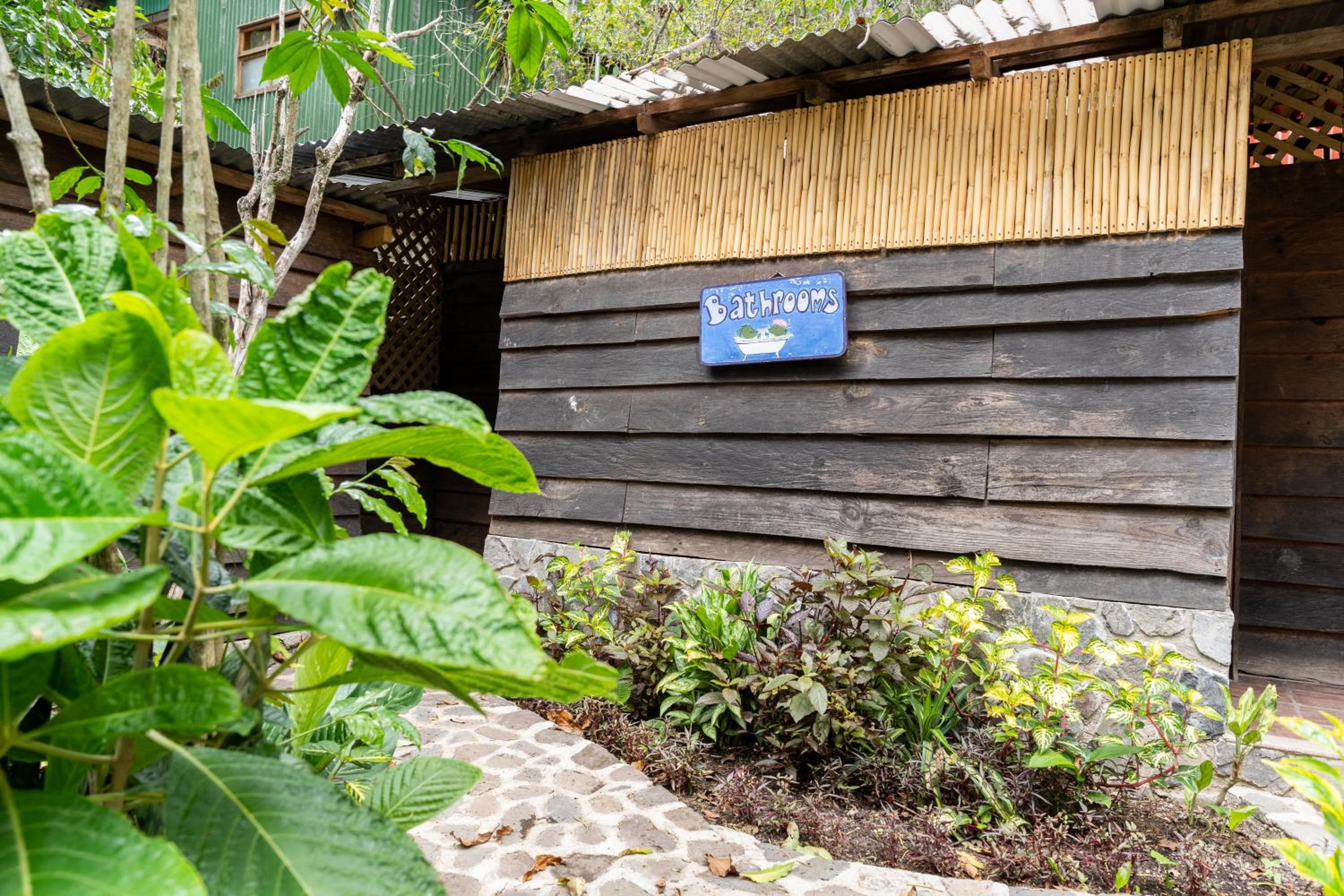 La Iguana Perdida - Hostel 119