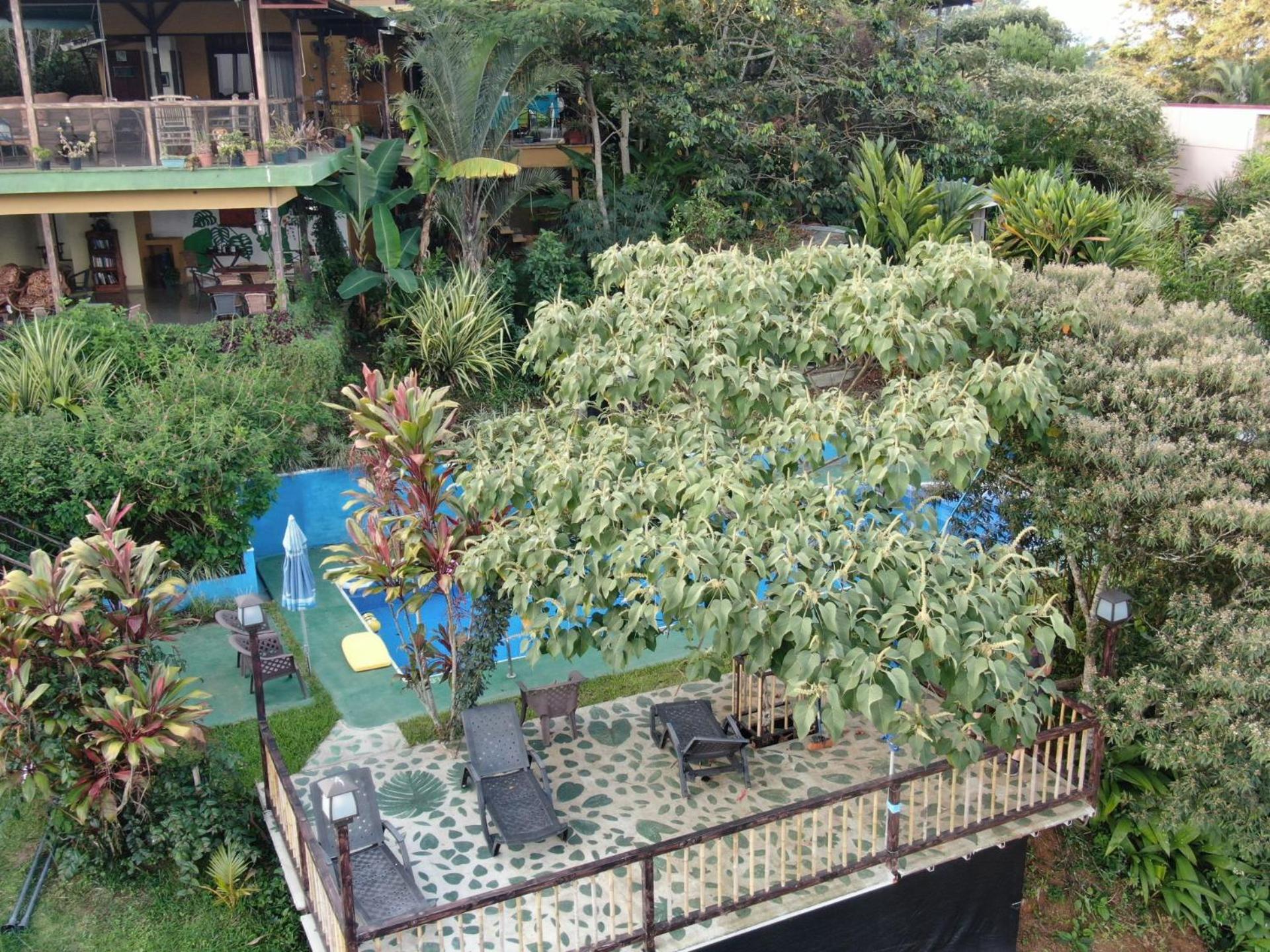 Rinconcito Verde