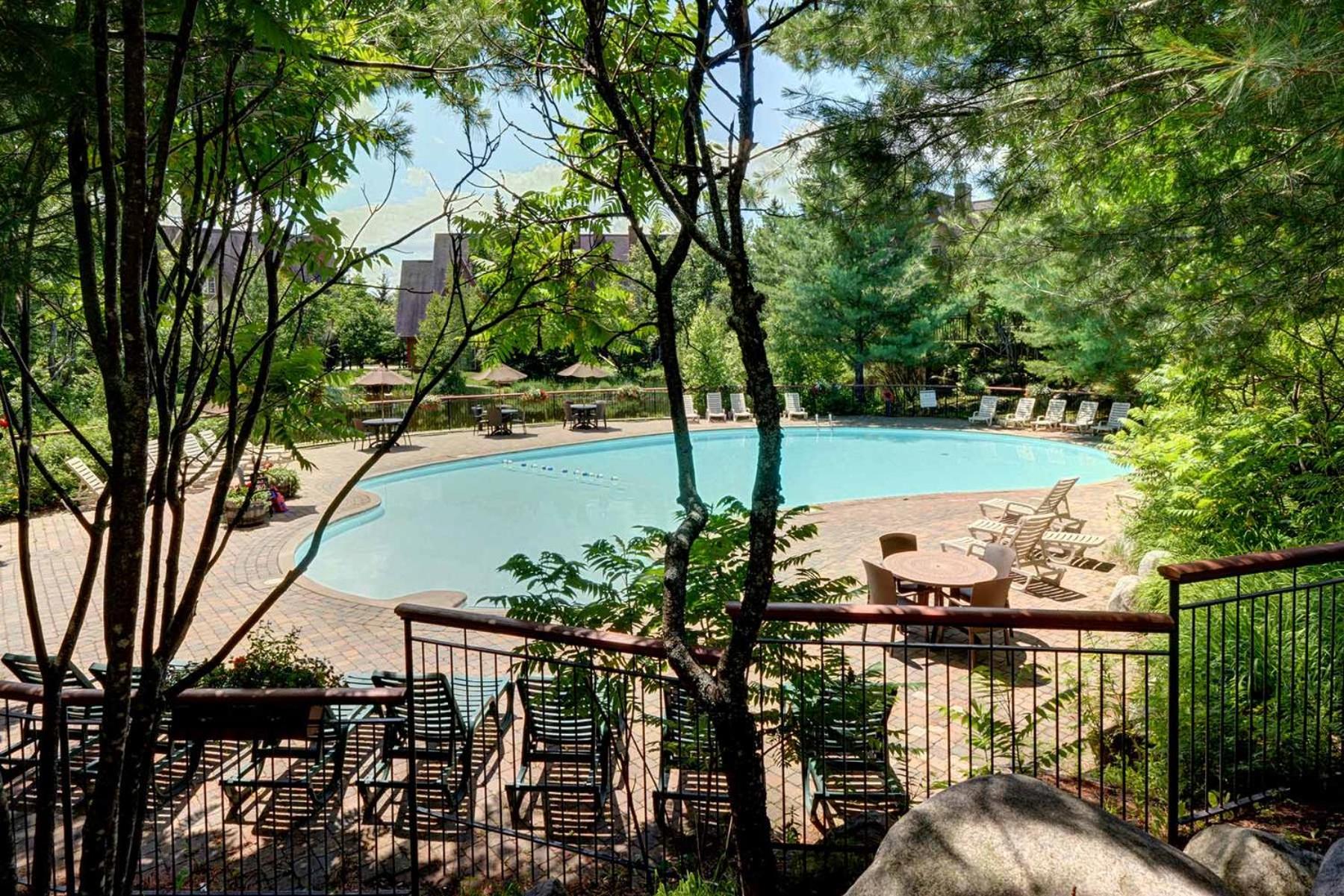 TRUE ski inout - large heated pool in summer!