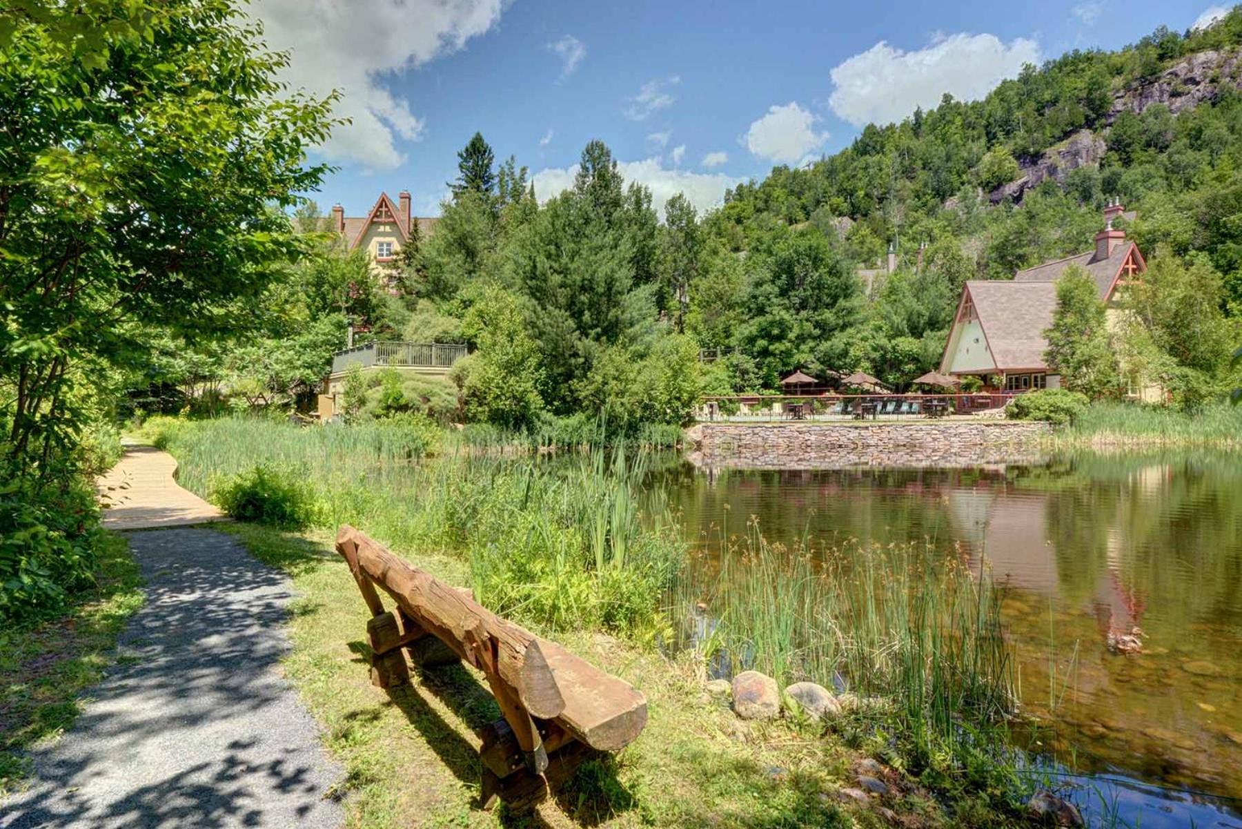 TRUE ski inout - large heated pool in summer!