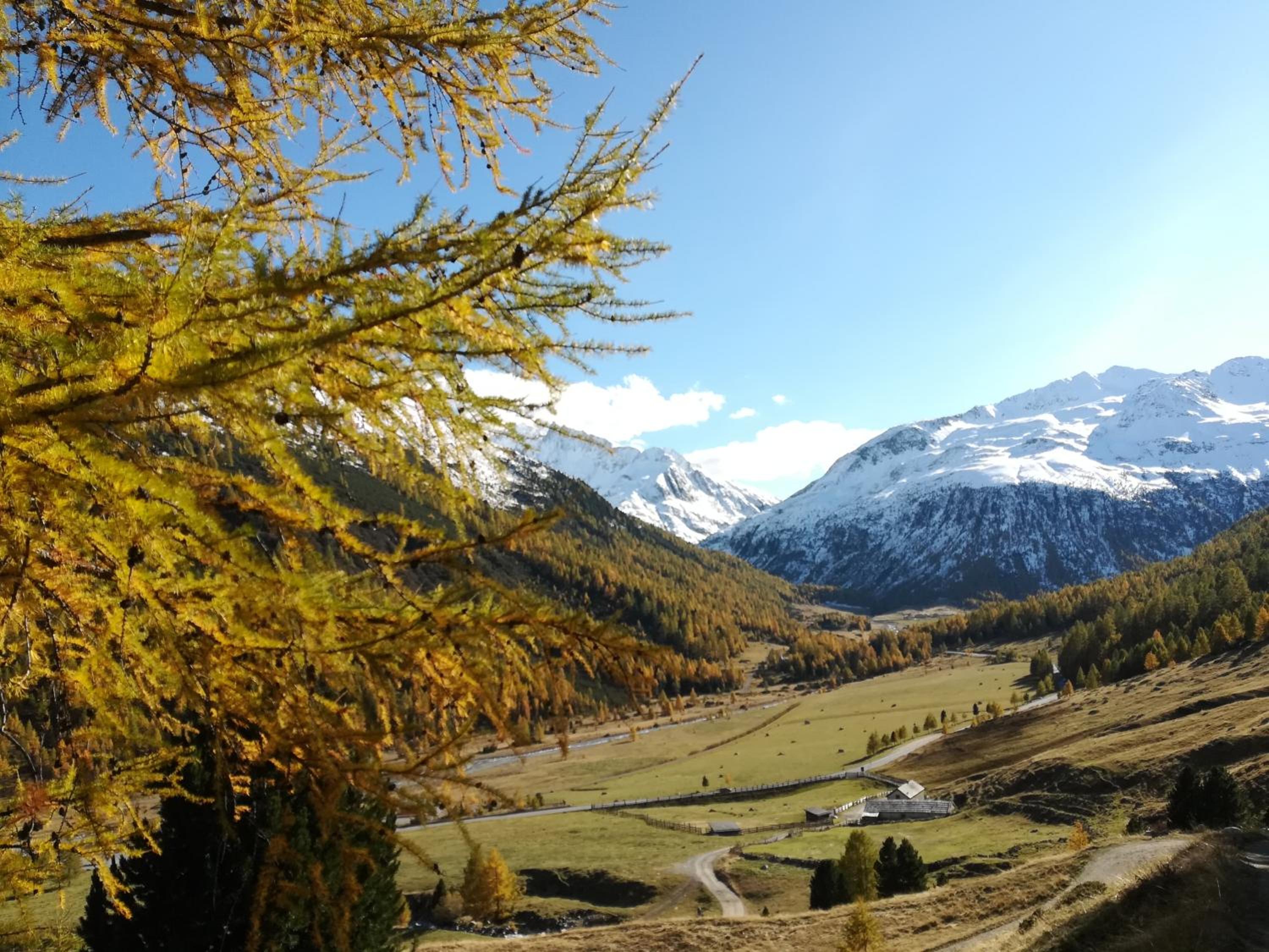 Photo 34
