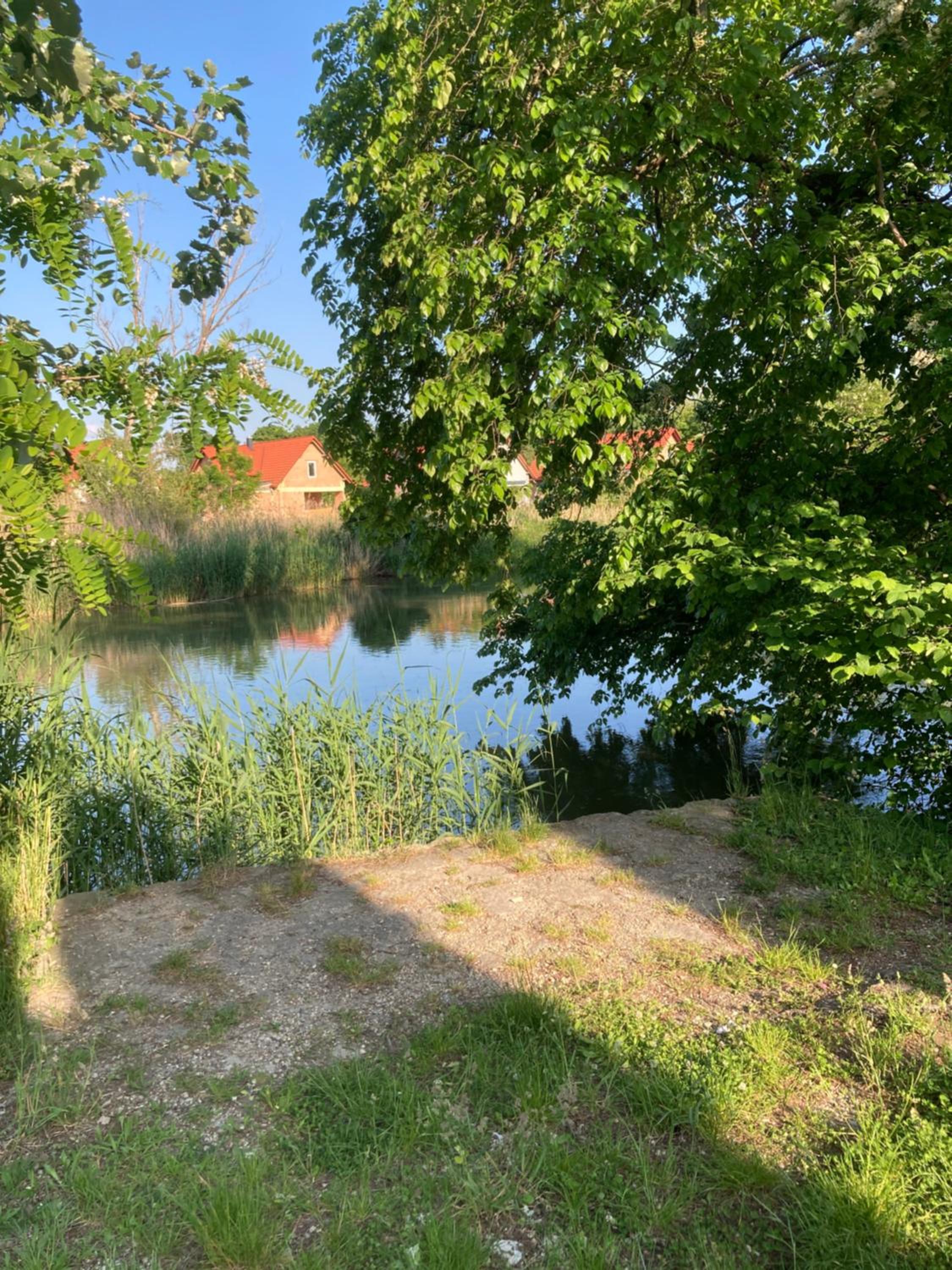 Photo 30