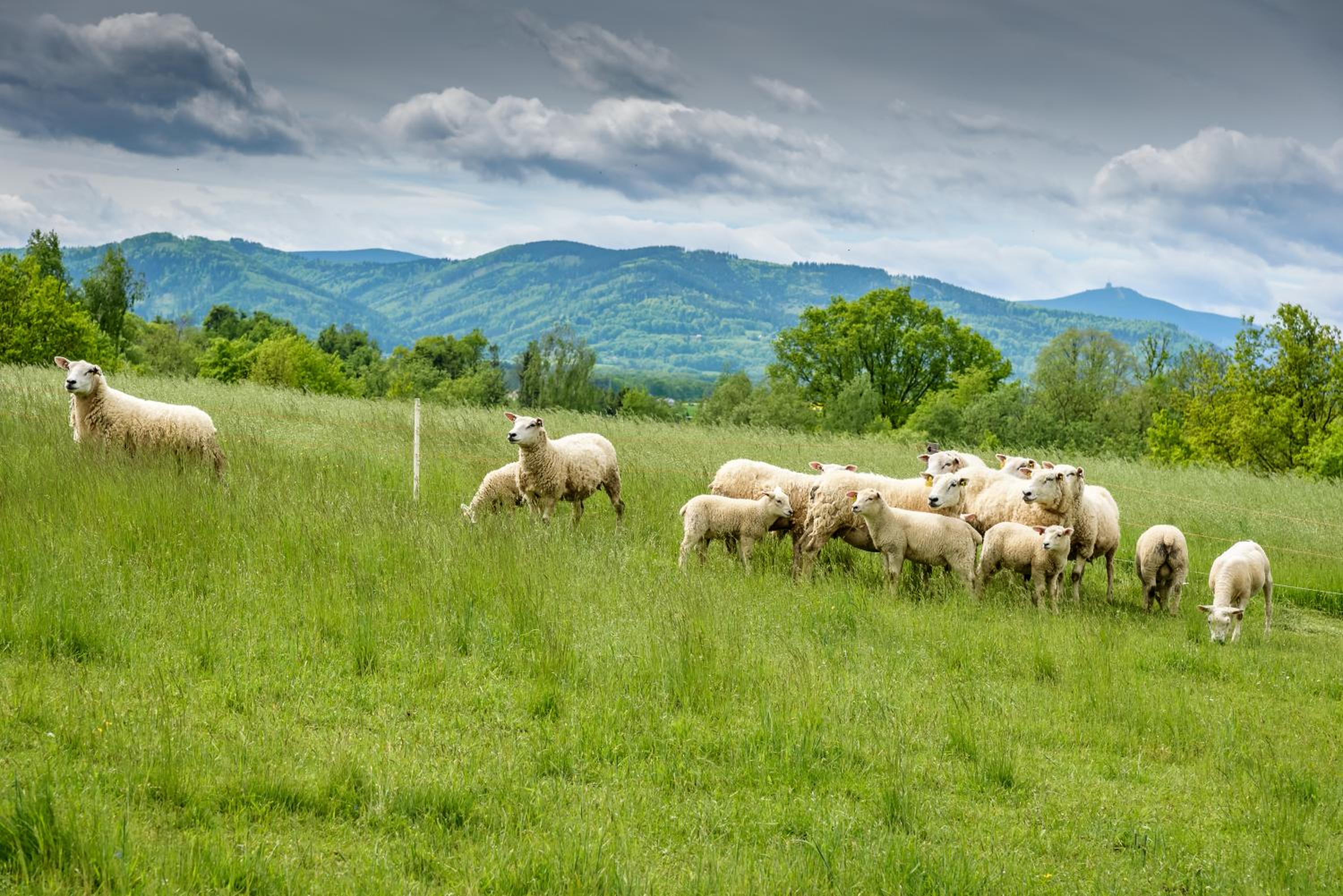 Agroturistika - 