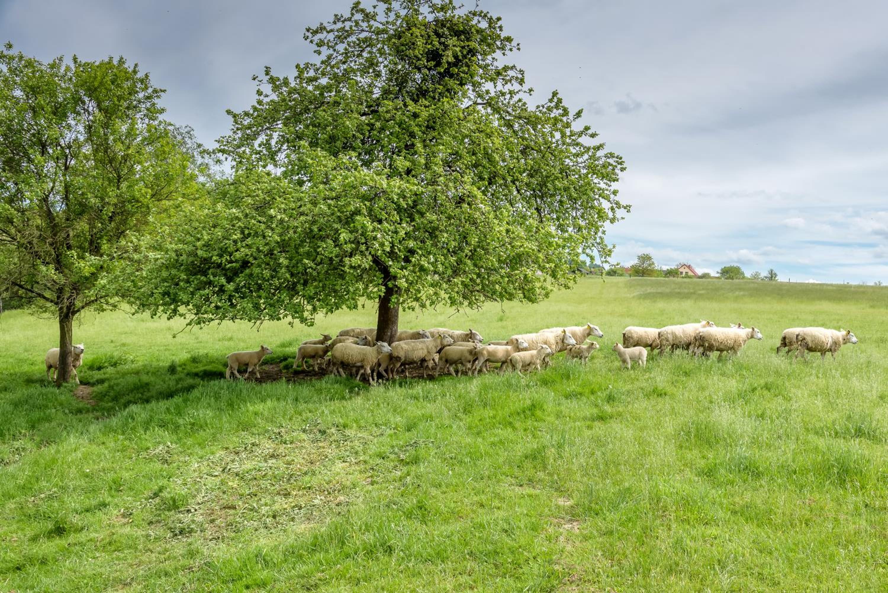 Agroturistika - 