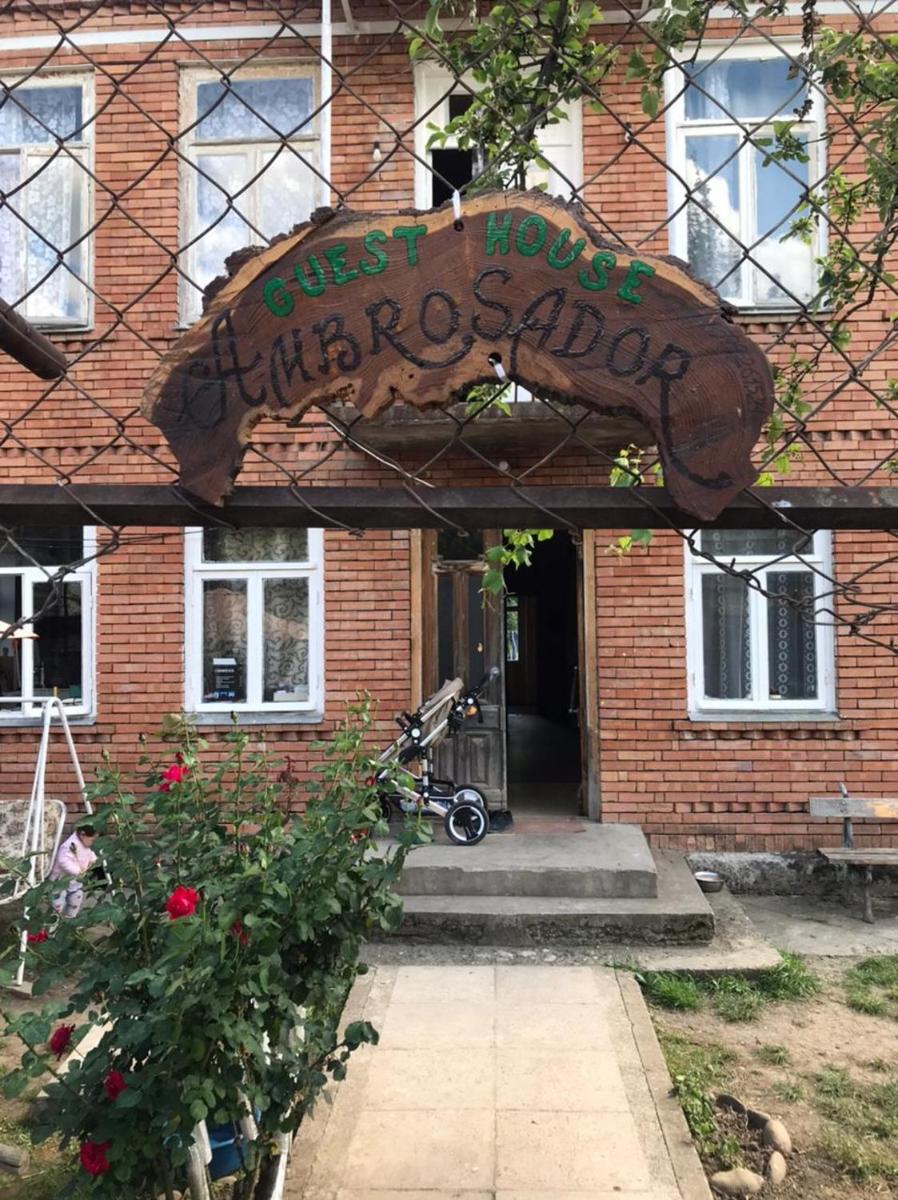 AMBROsador view 2