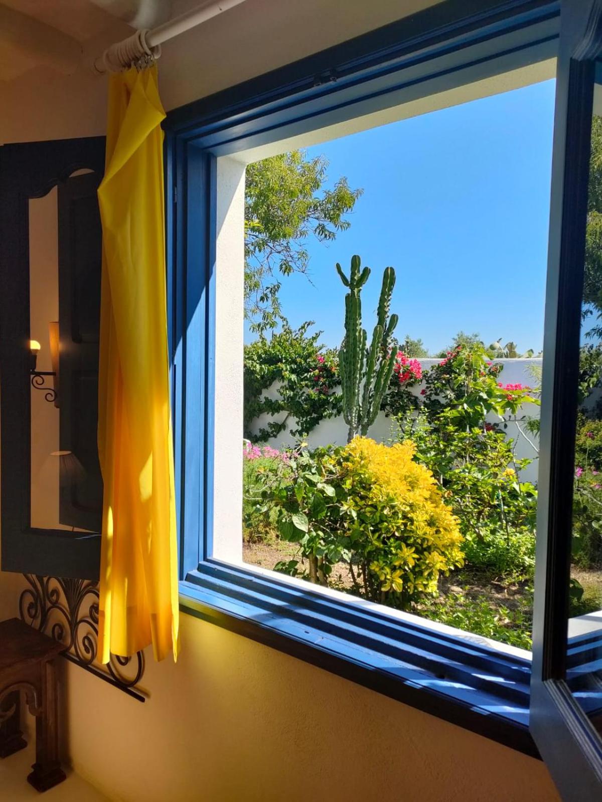 La Rosamarina photo 2