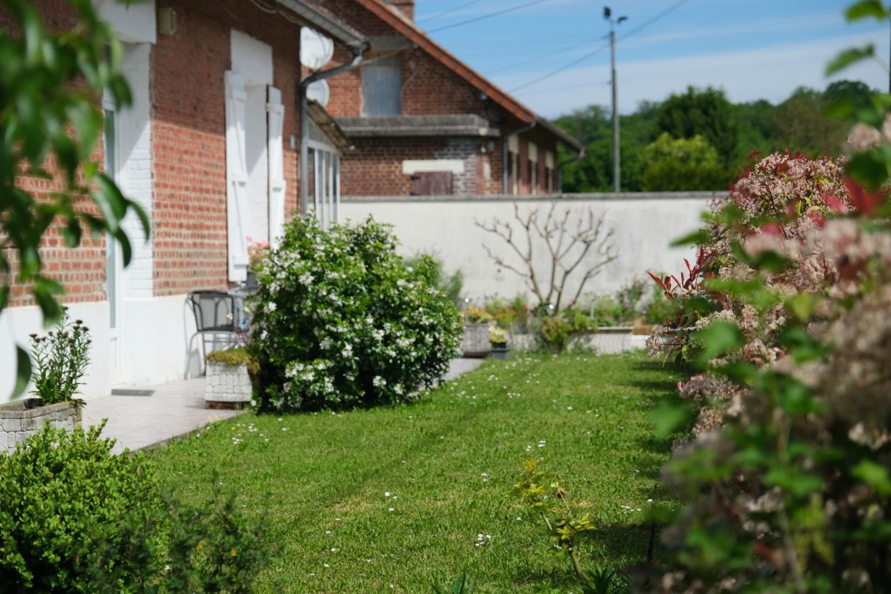 Photo 6