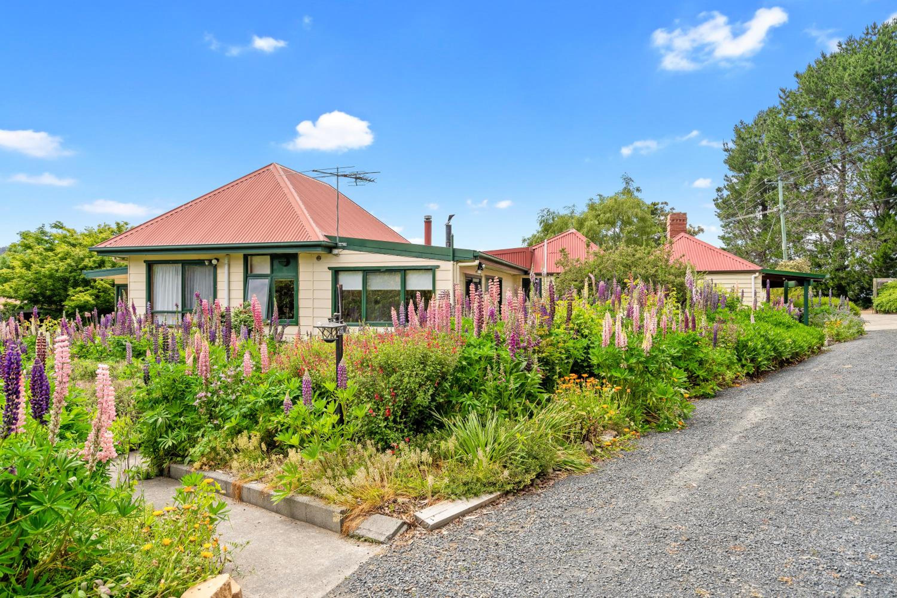 Hamlet Downs Country Accommodation view 2