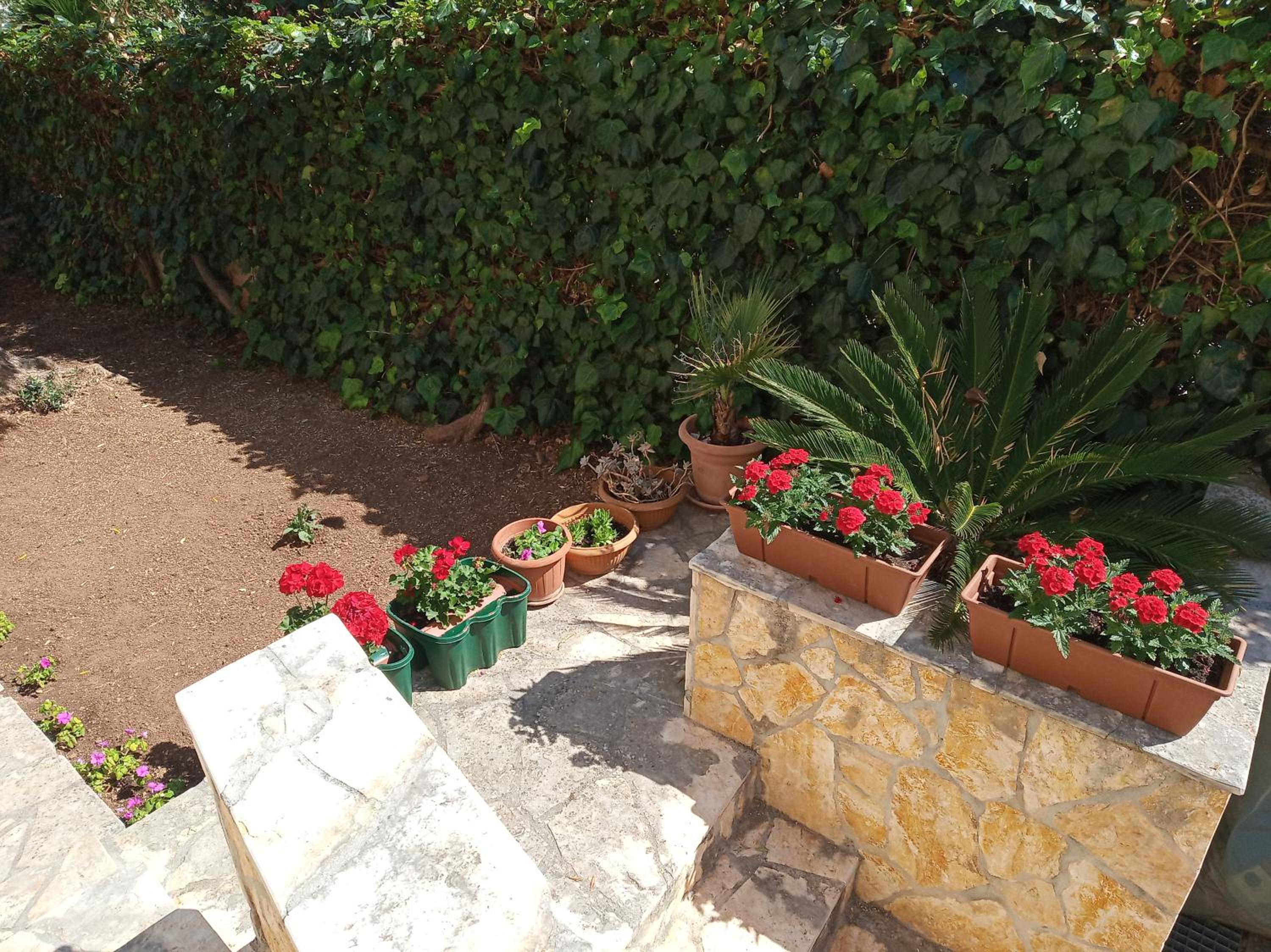 Photo 29