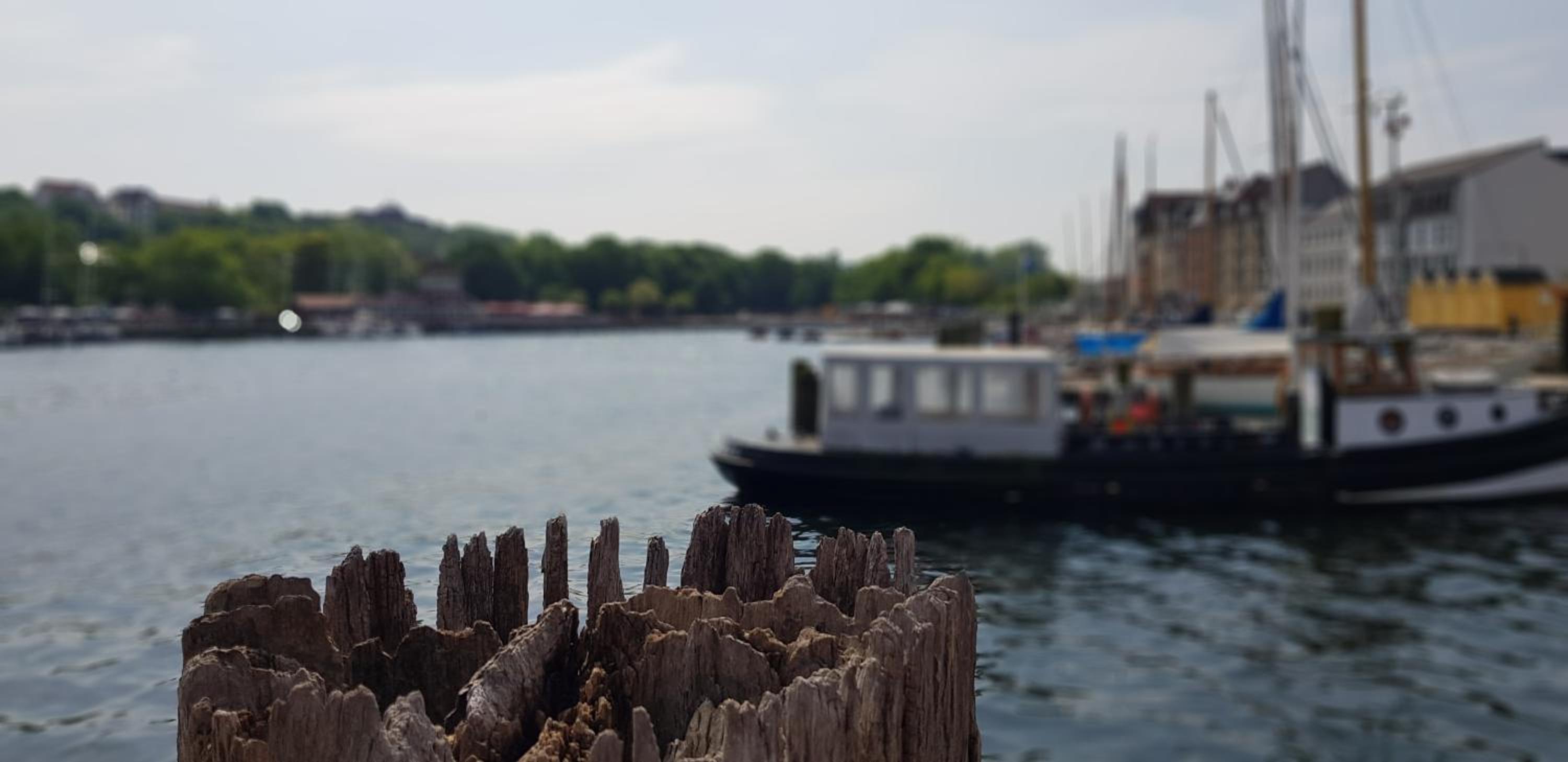 Strandkoje