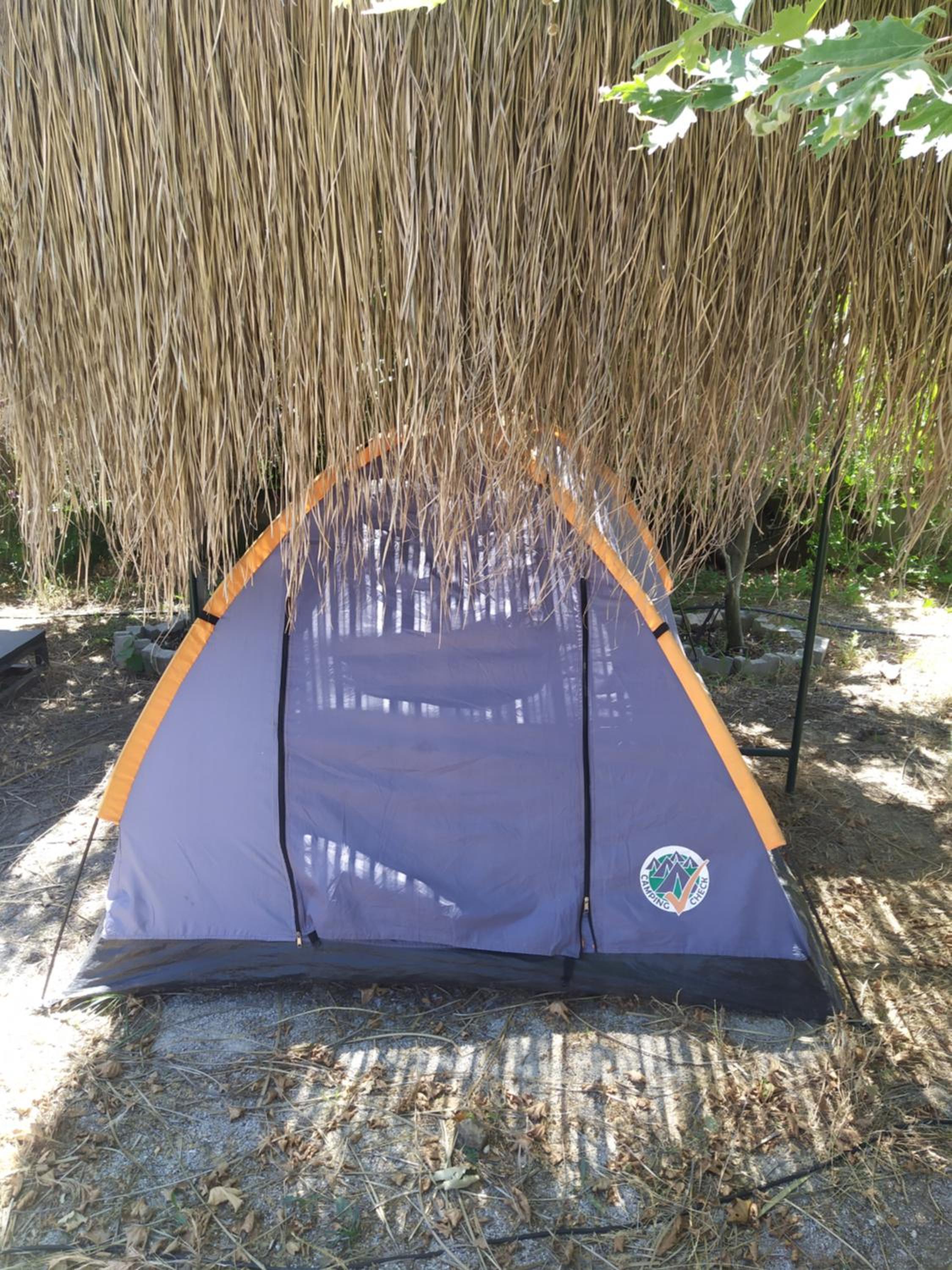 Chillsteps Hostel