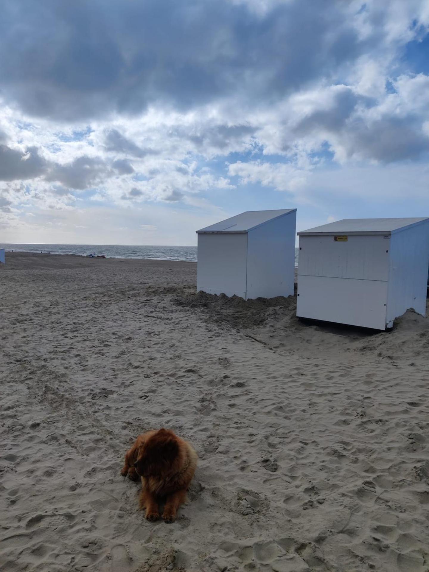 Casino Beach view 2