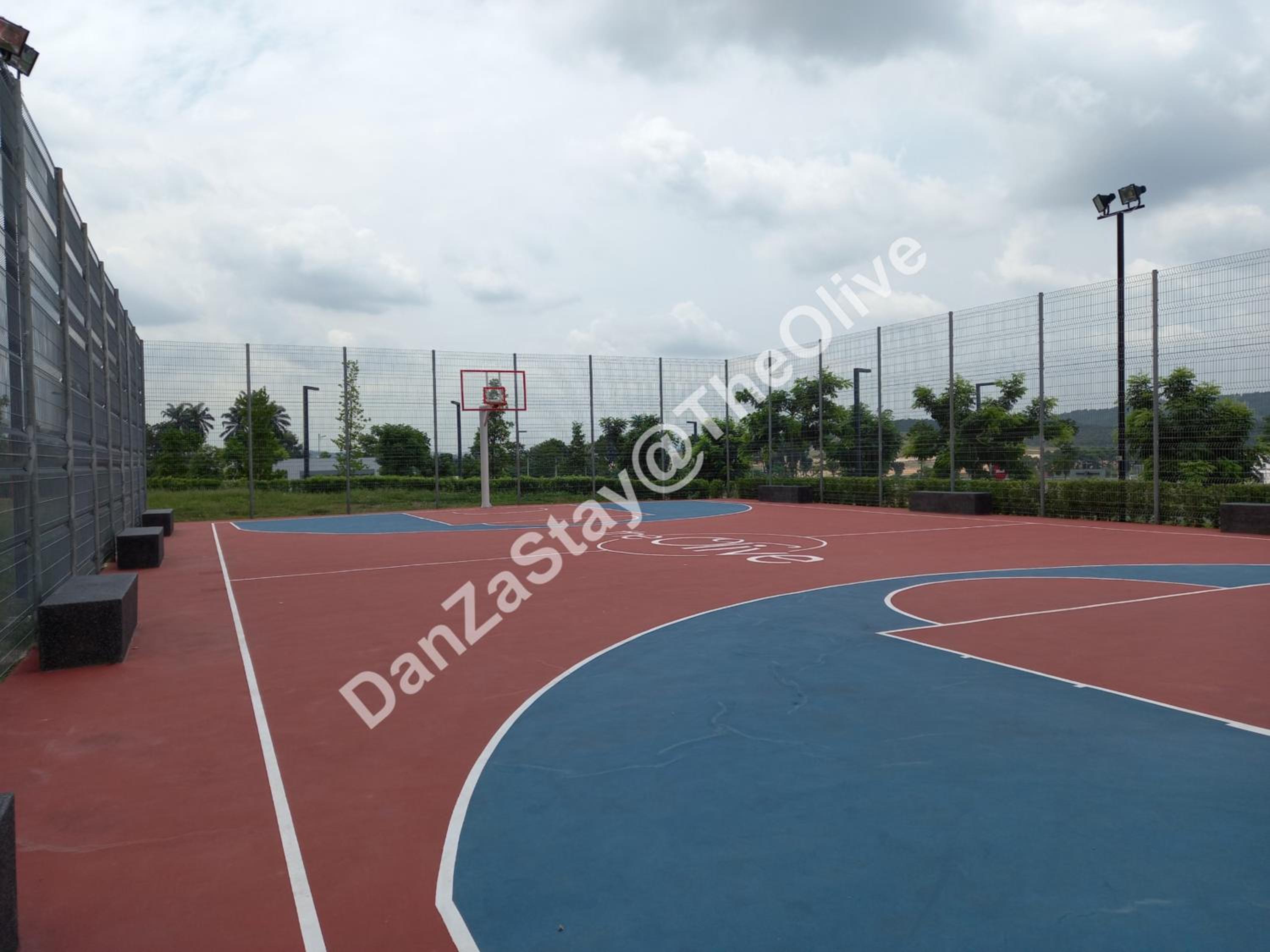 Photo 19