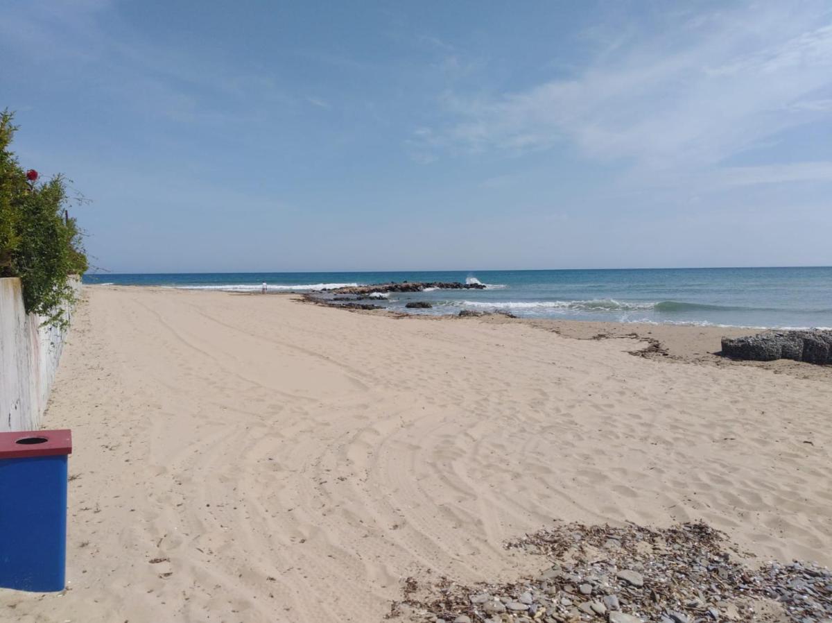 On the beach view 5