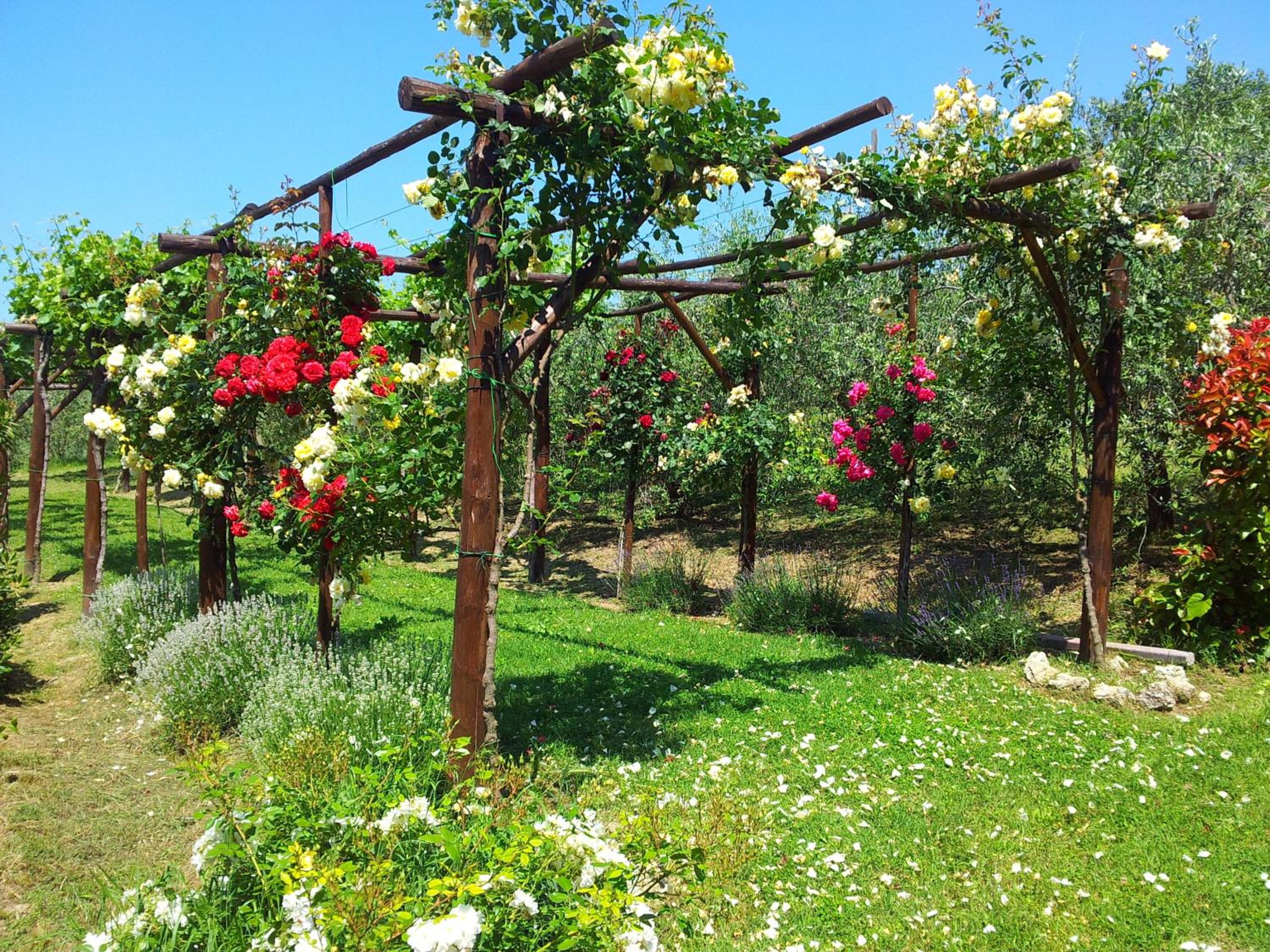 Agriturismo Casale Dei Frontini