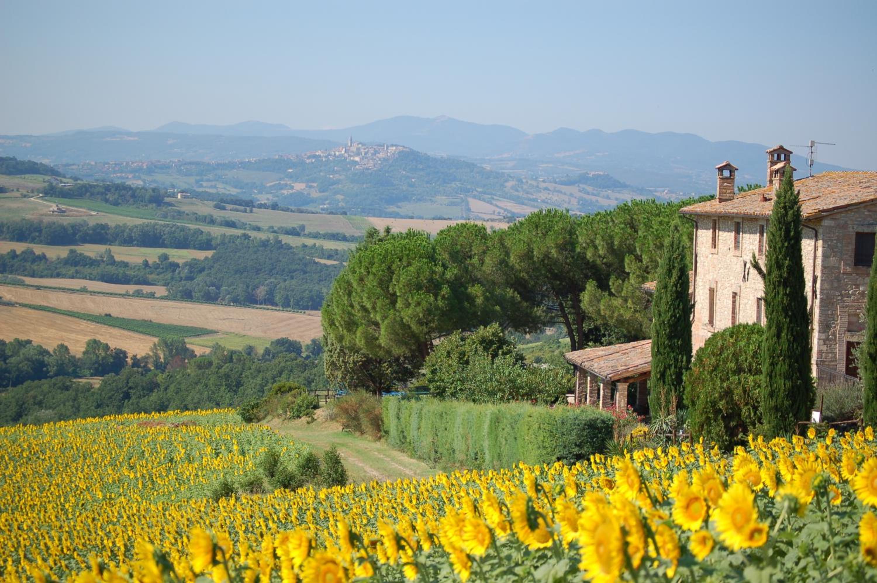 Agriturismo Casale Dei Frontini