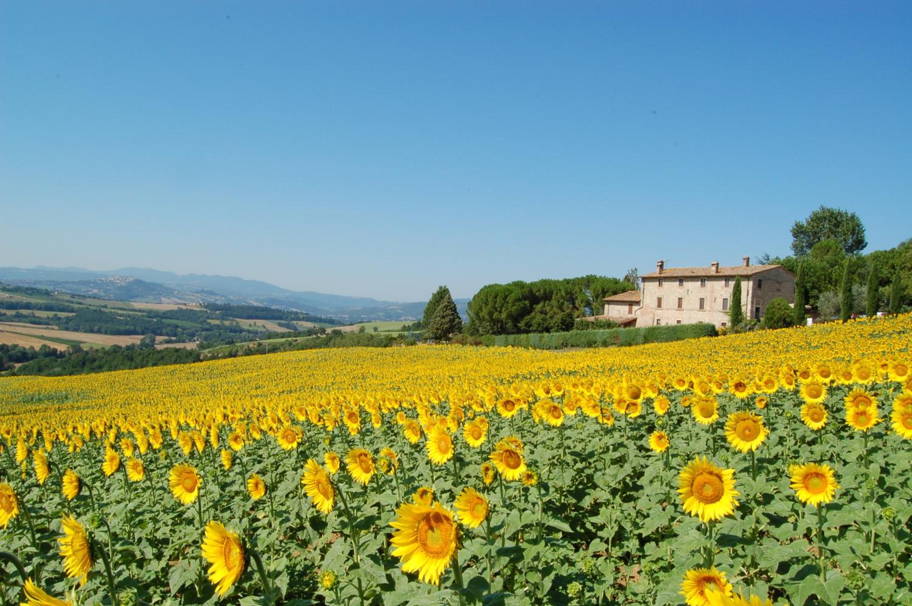 Agriturismo Casale Dei Frontini
