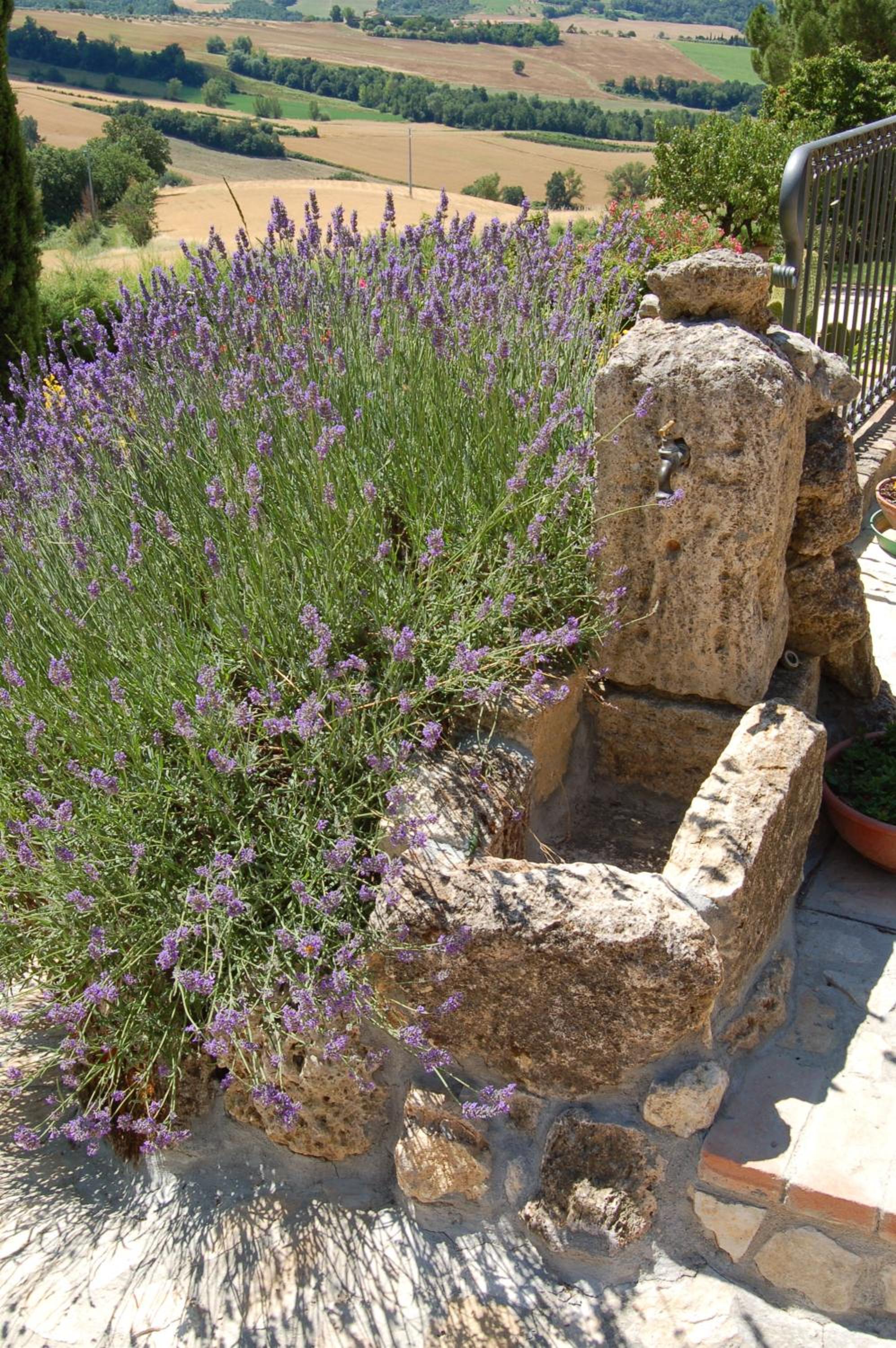 Agriturismo Casale Dei Frontini