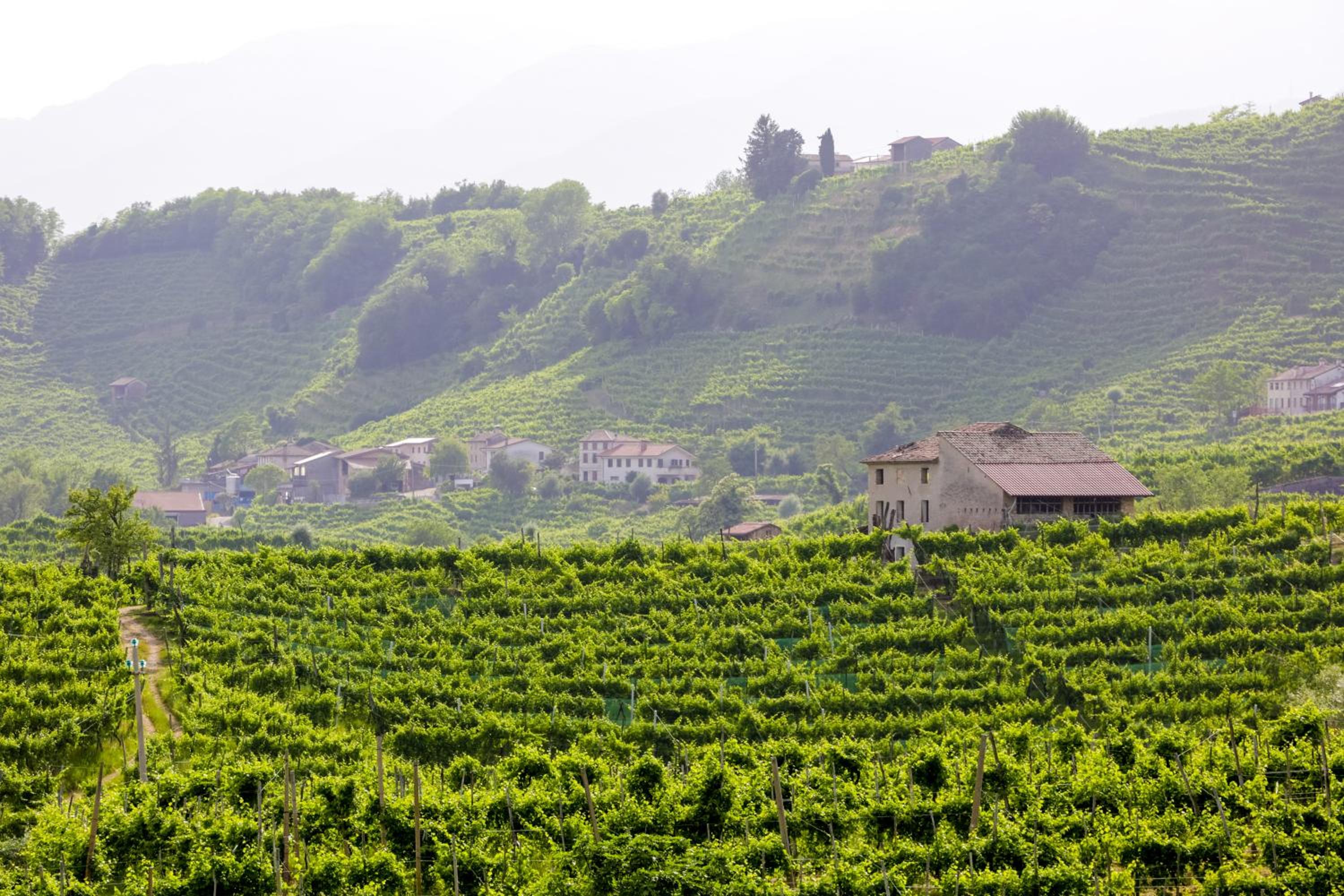 Agriturismo Il Follo