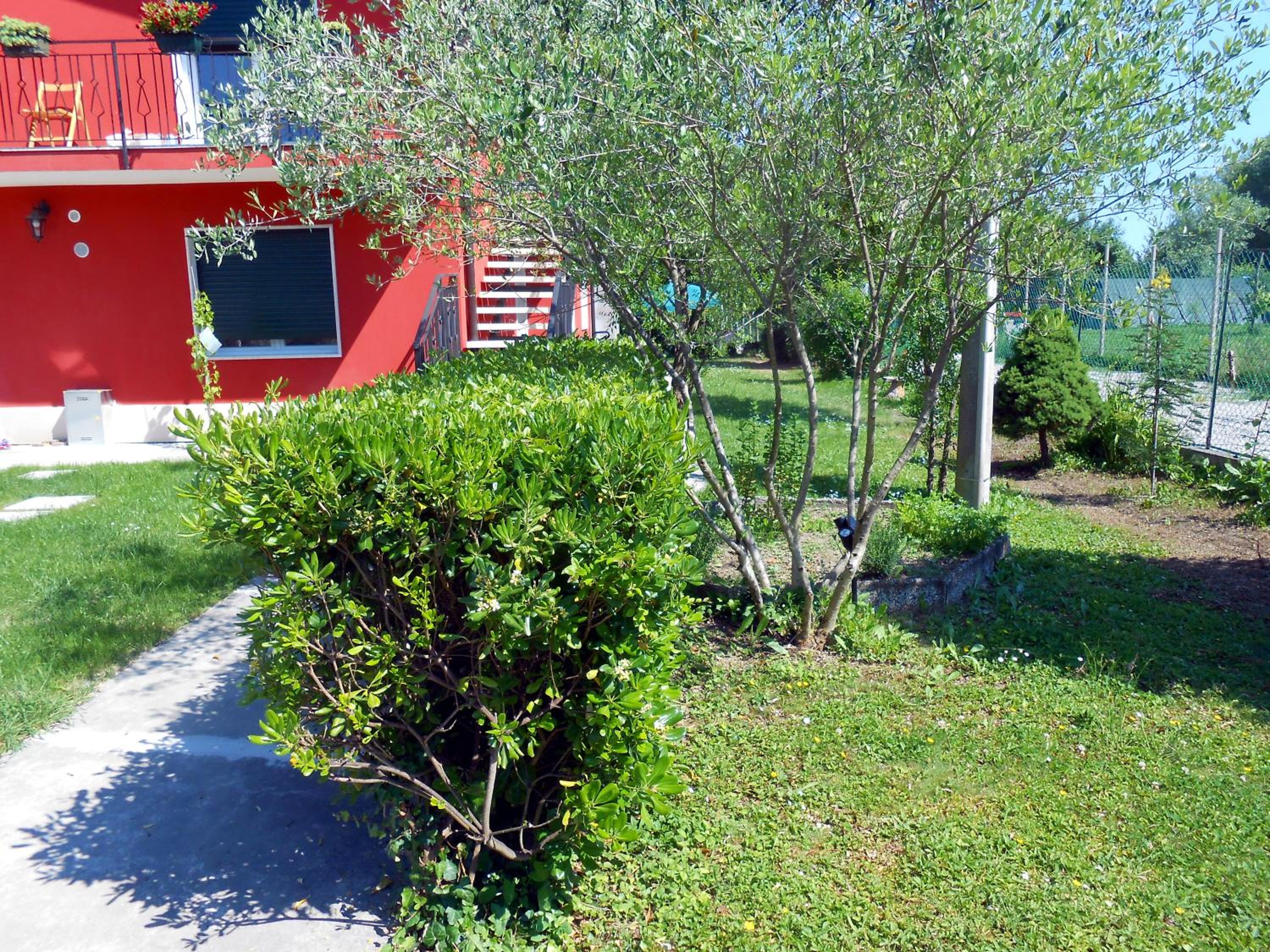 Photo 25