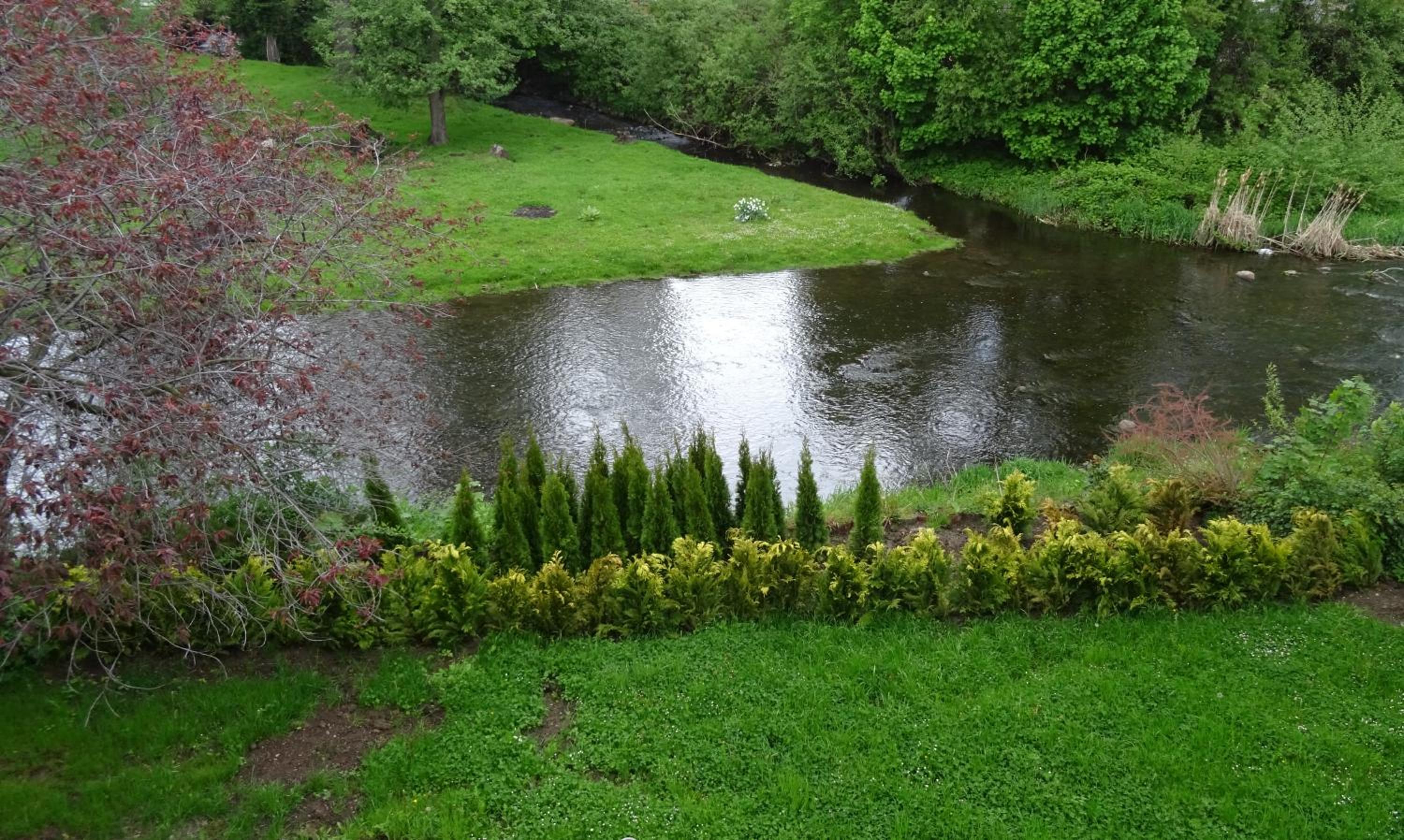 Photo 47