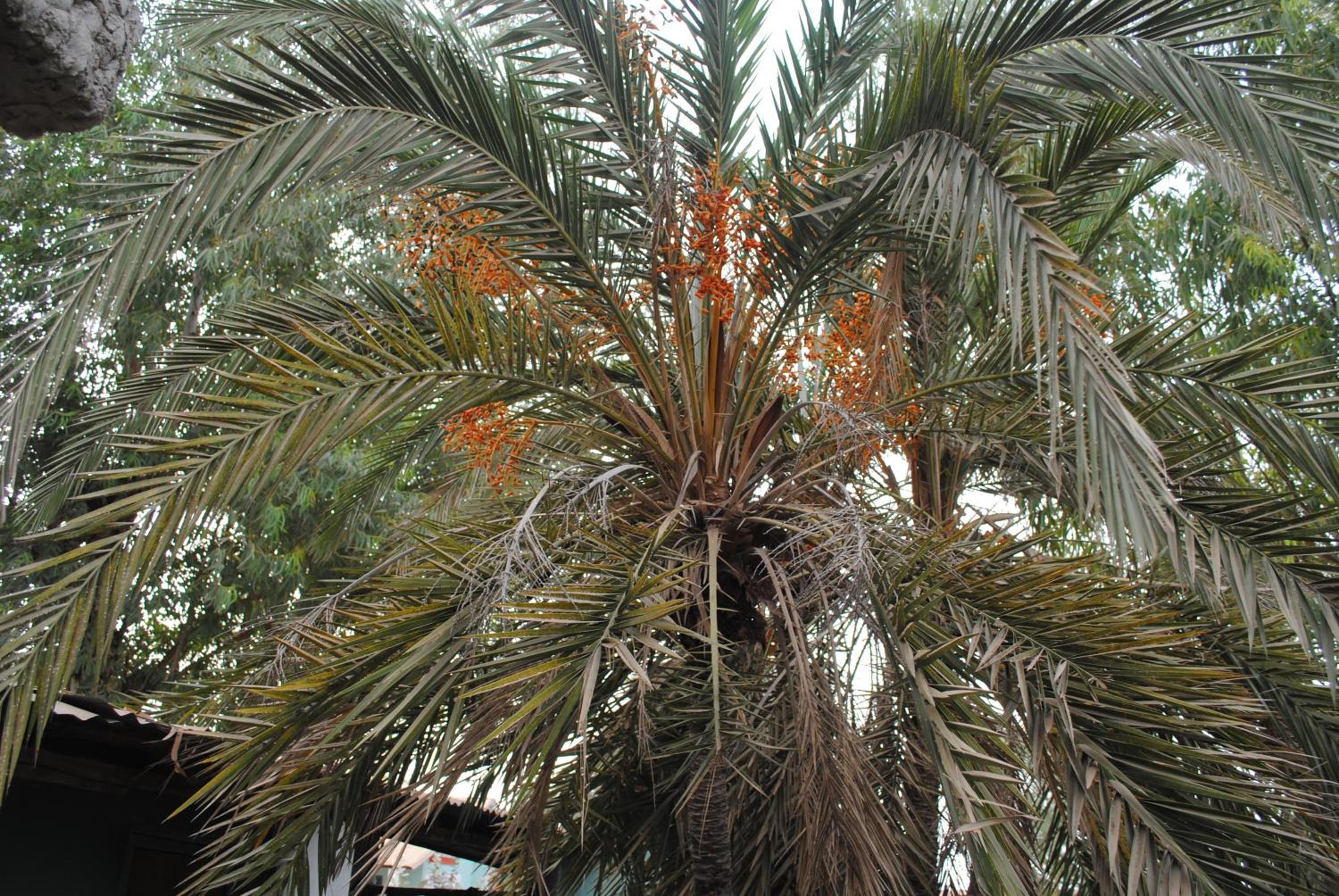 Rainbow beach resort