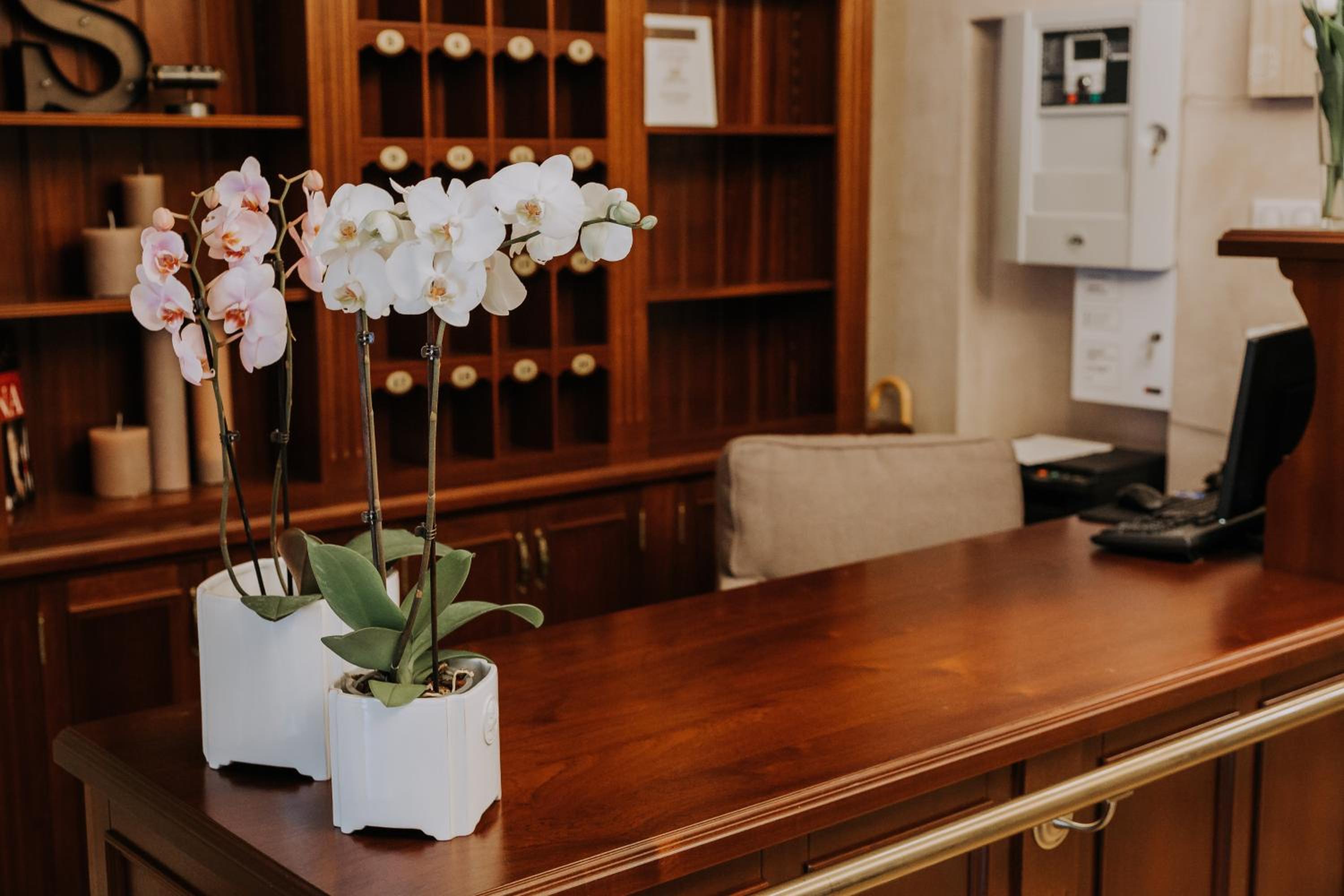 Lobby & Reception