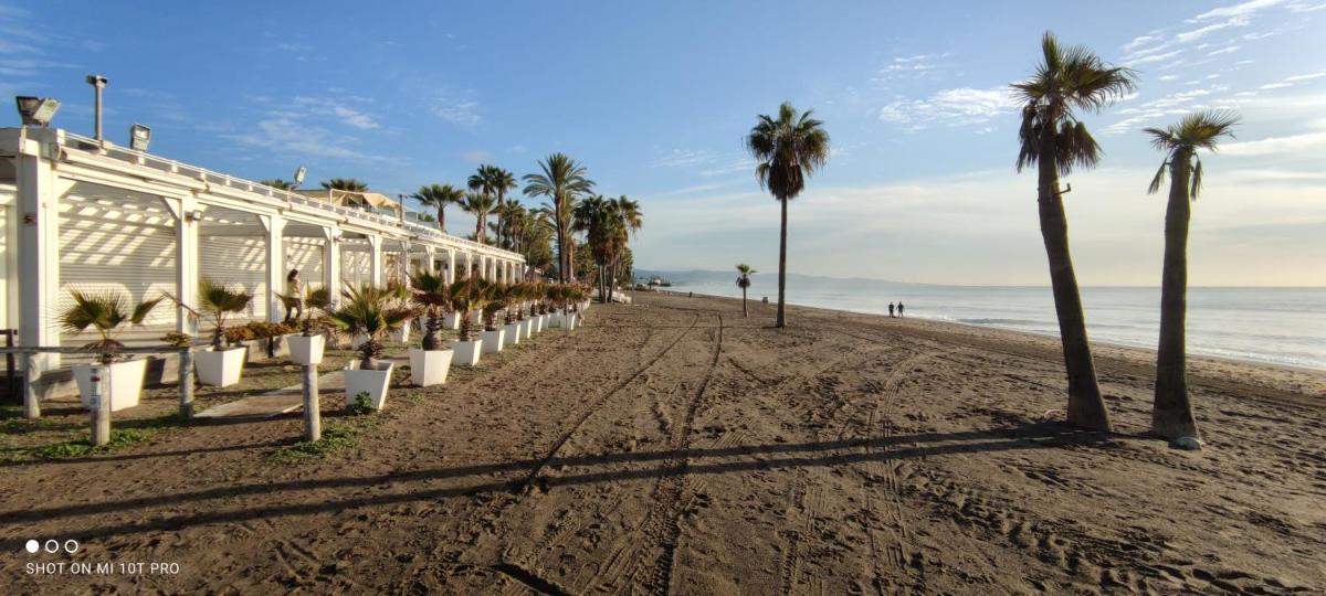 Nueva Marbella photo 2