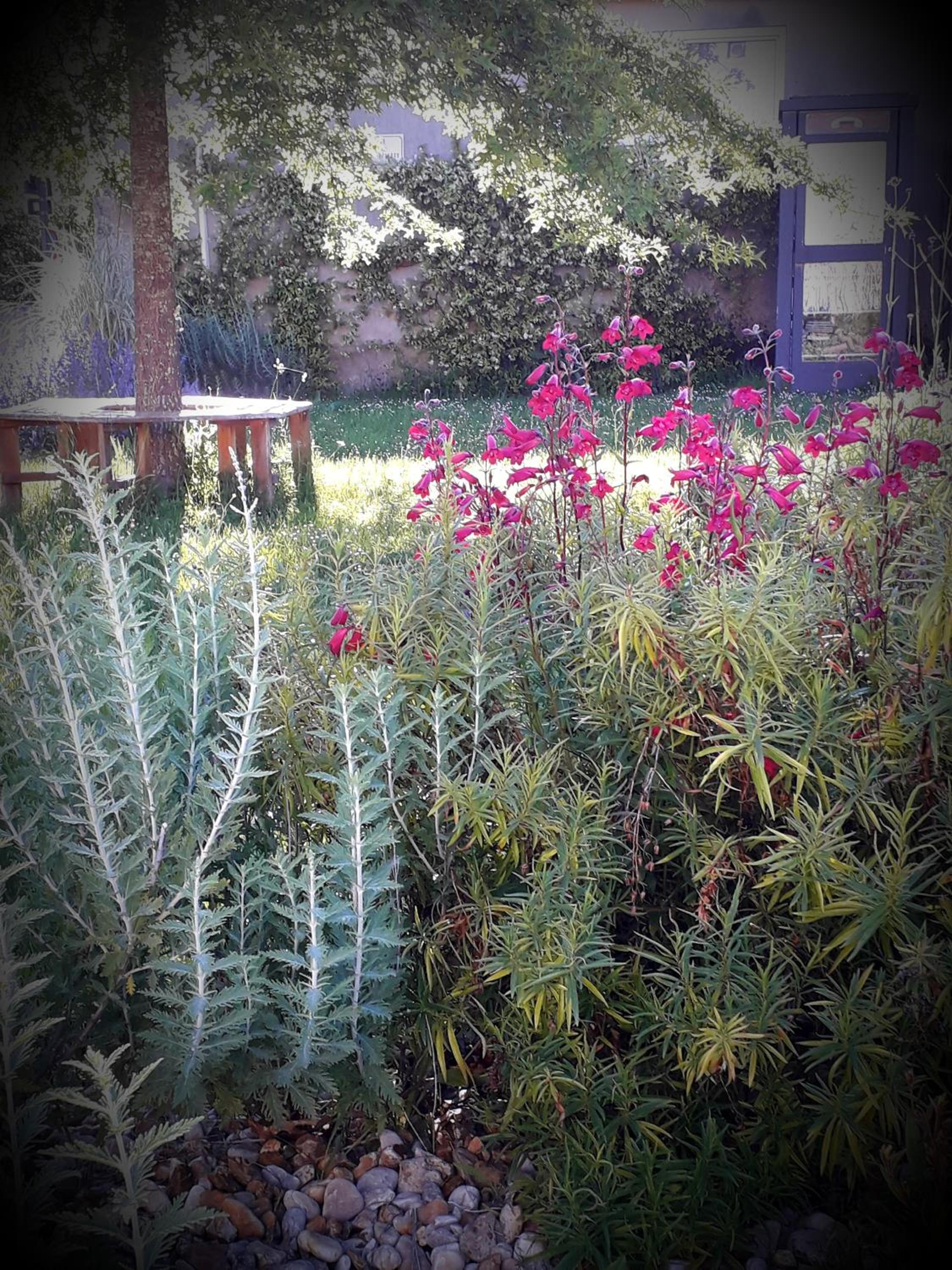 Photo 19