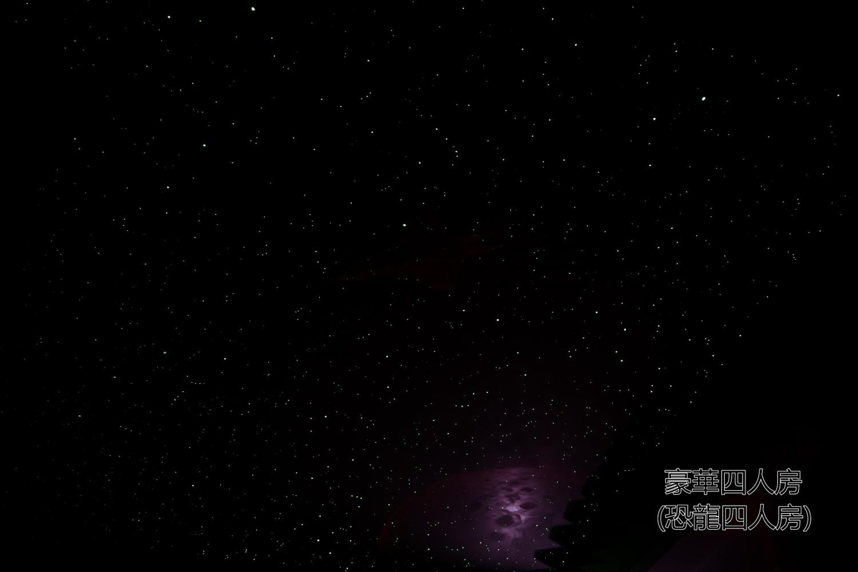 台南樂遊親子溜滑梯電梯民宿