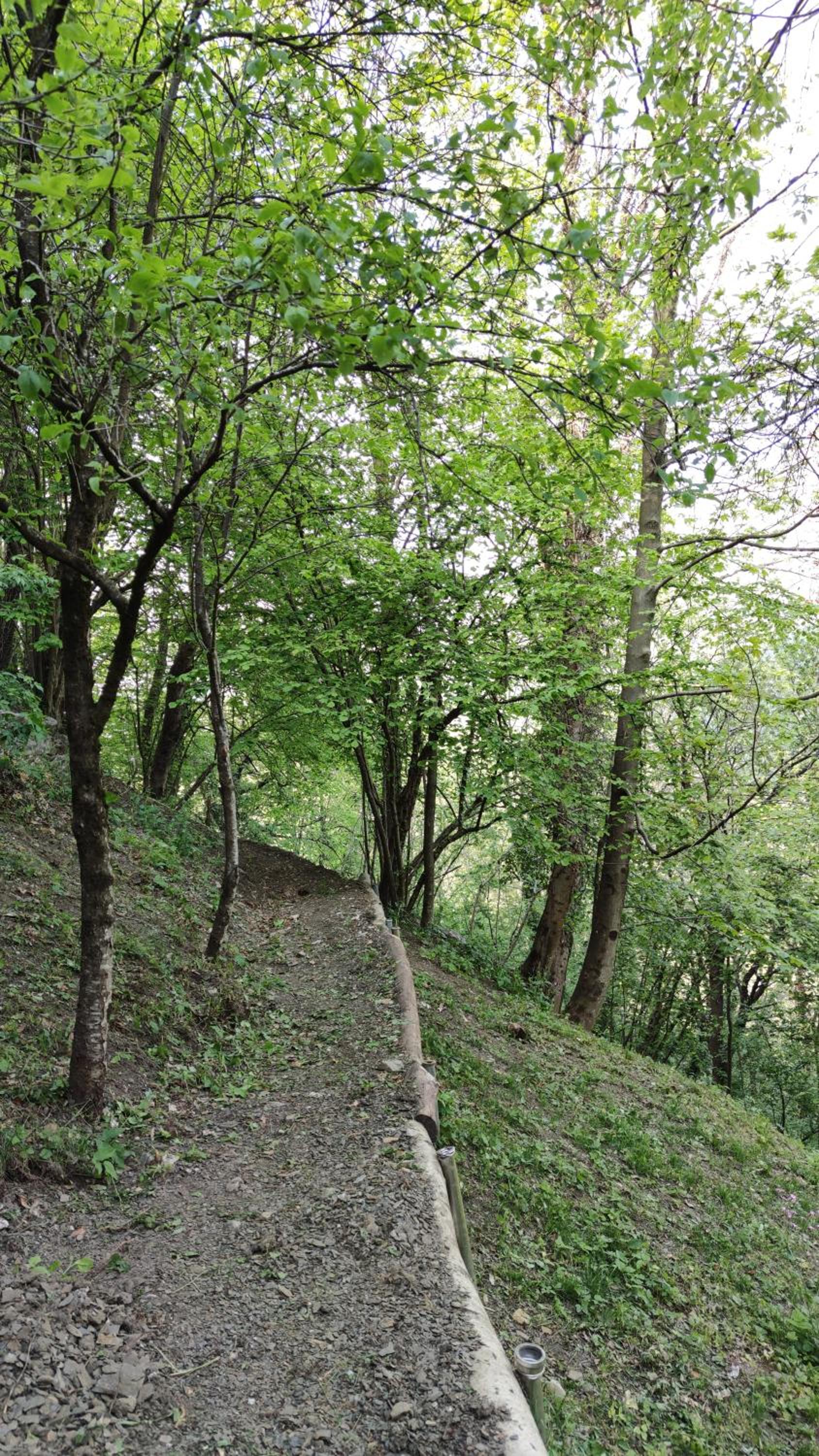 Photo 43