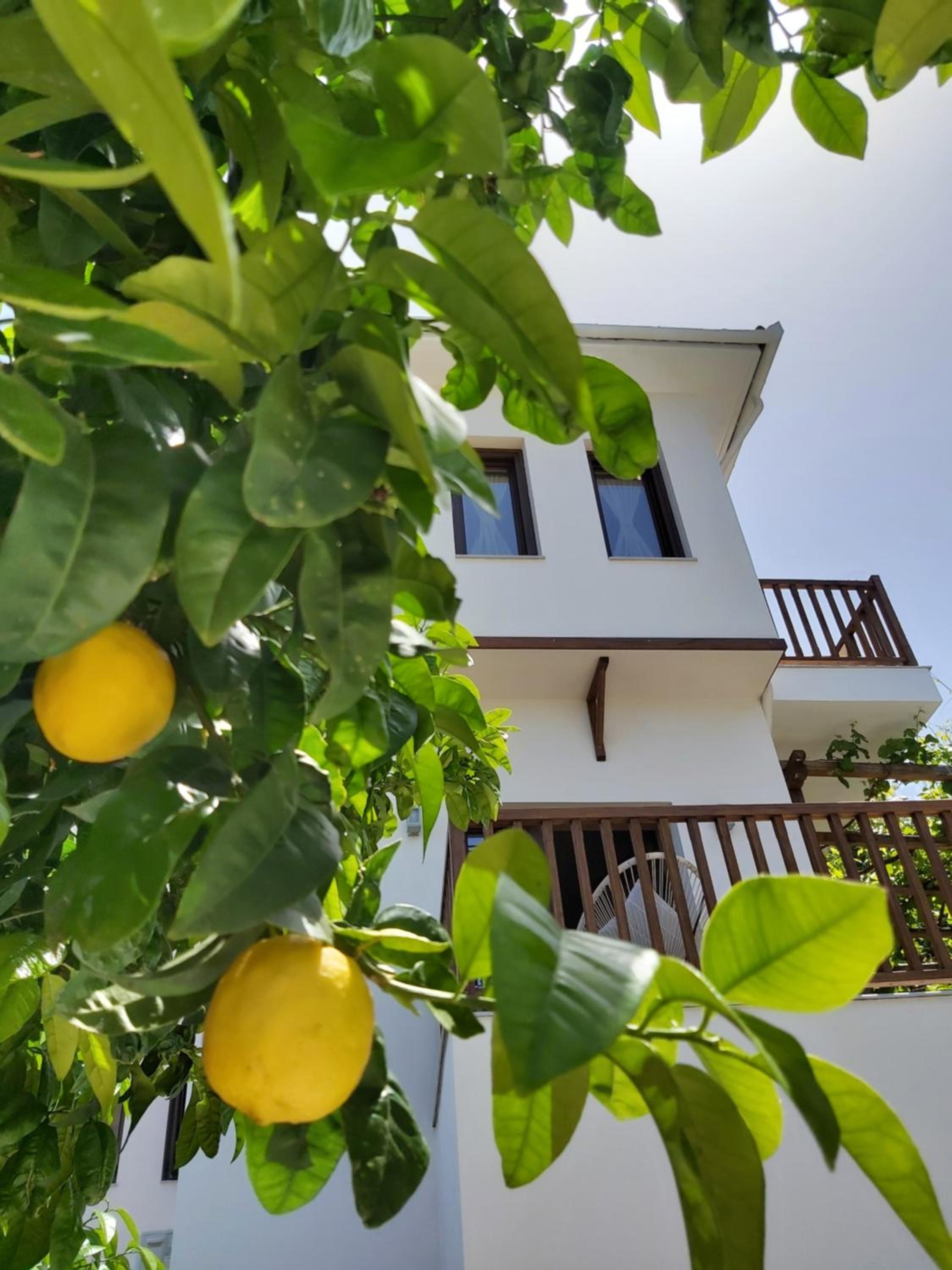 Aegean Blue - Villas Stivachtis view 4
