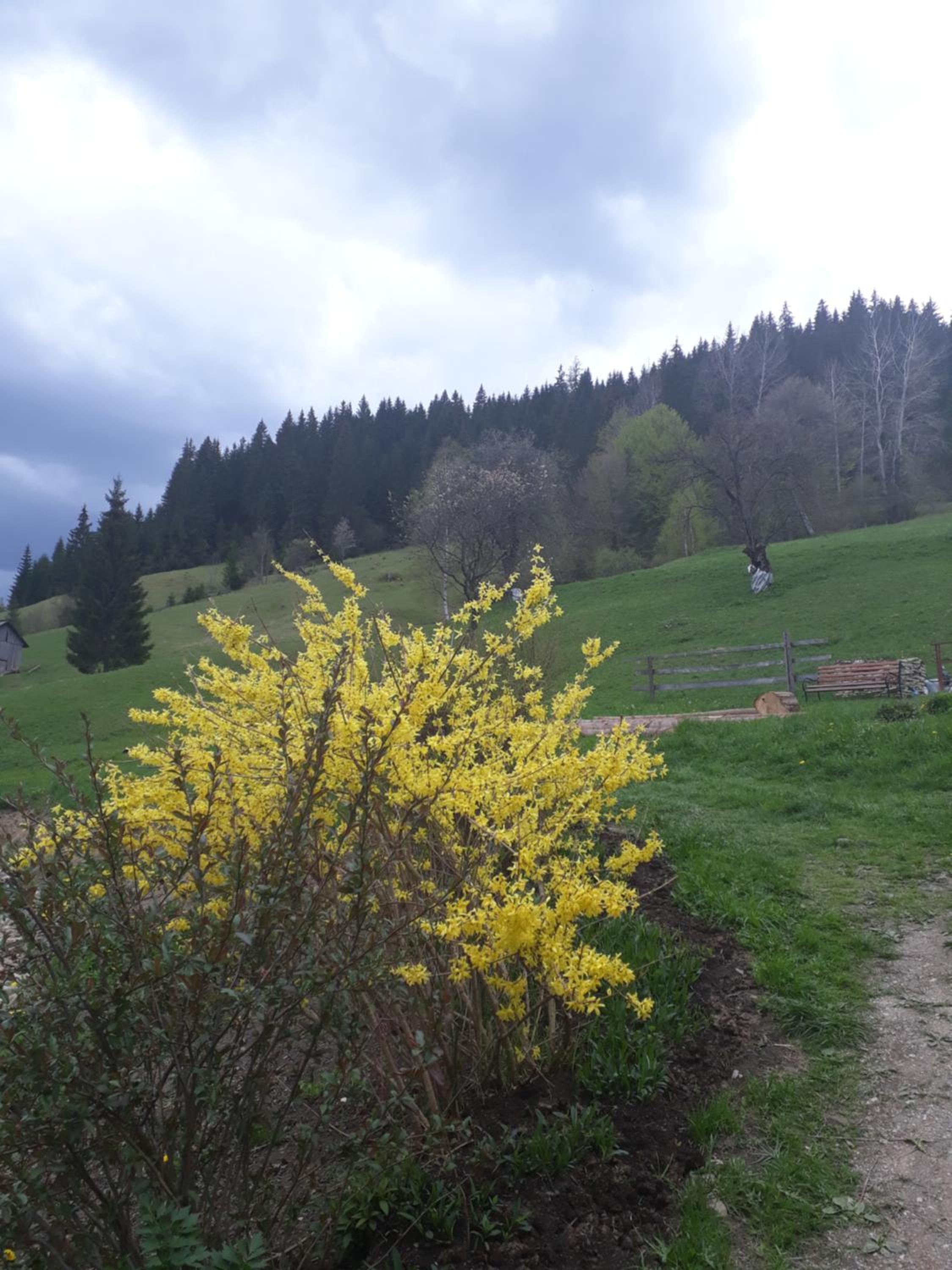 Photo 36