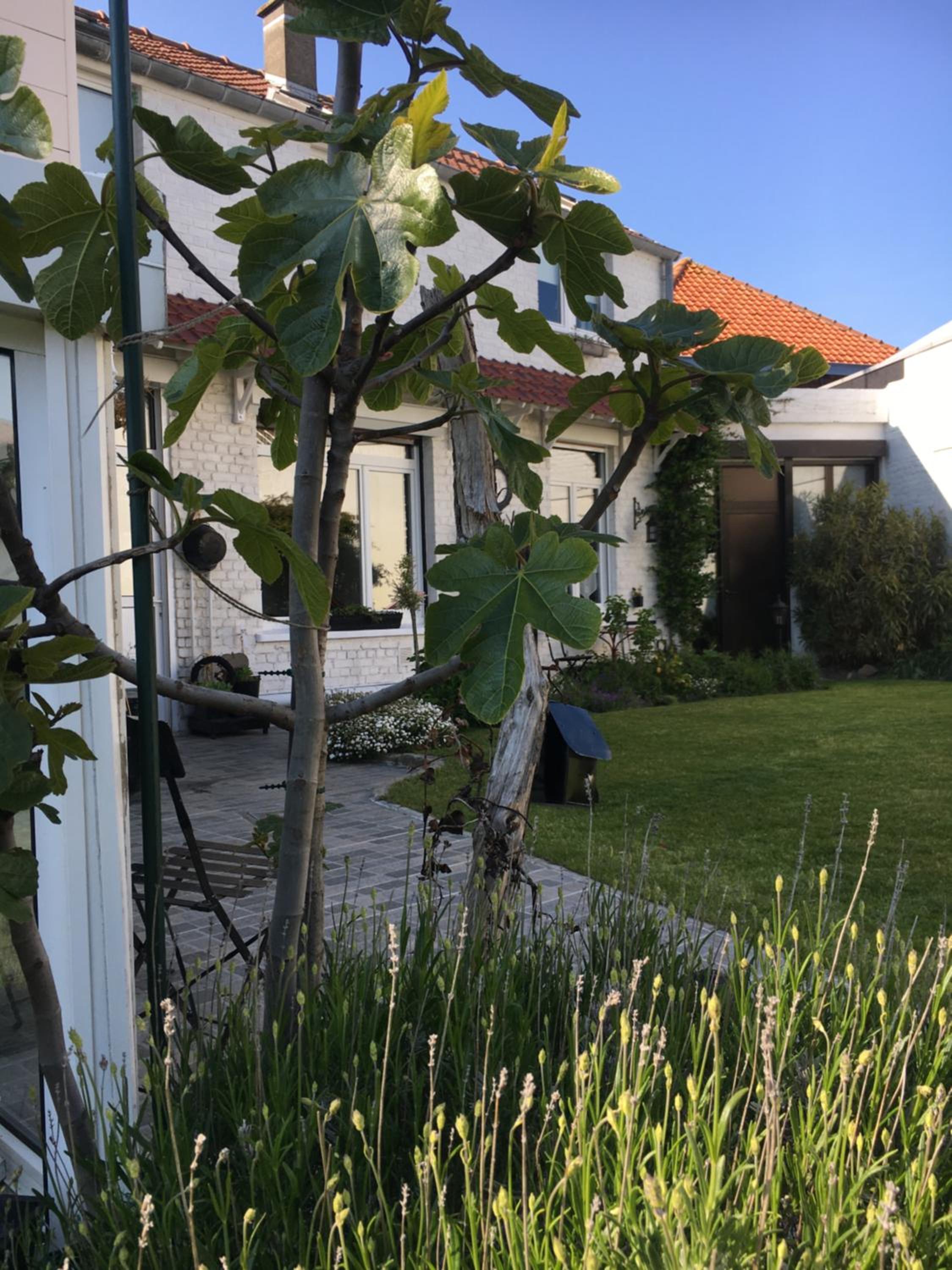 Photo 32