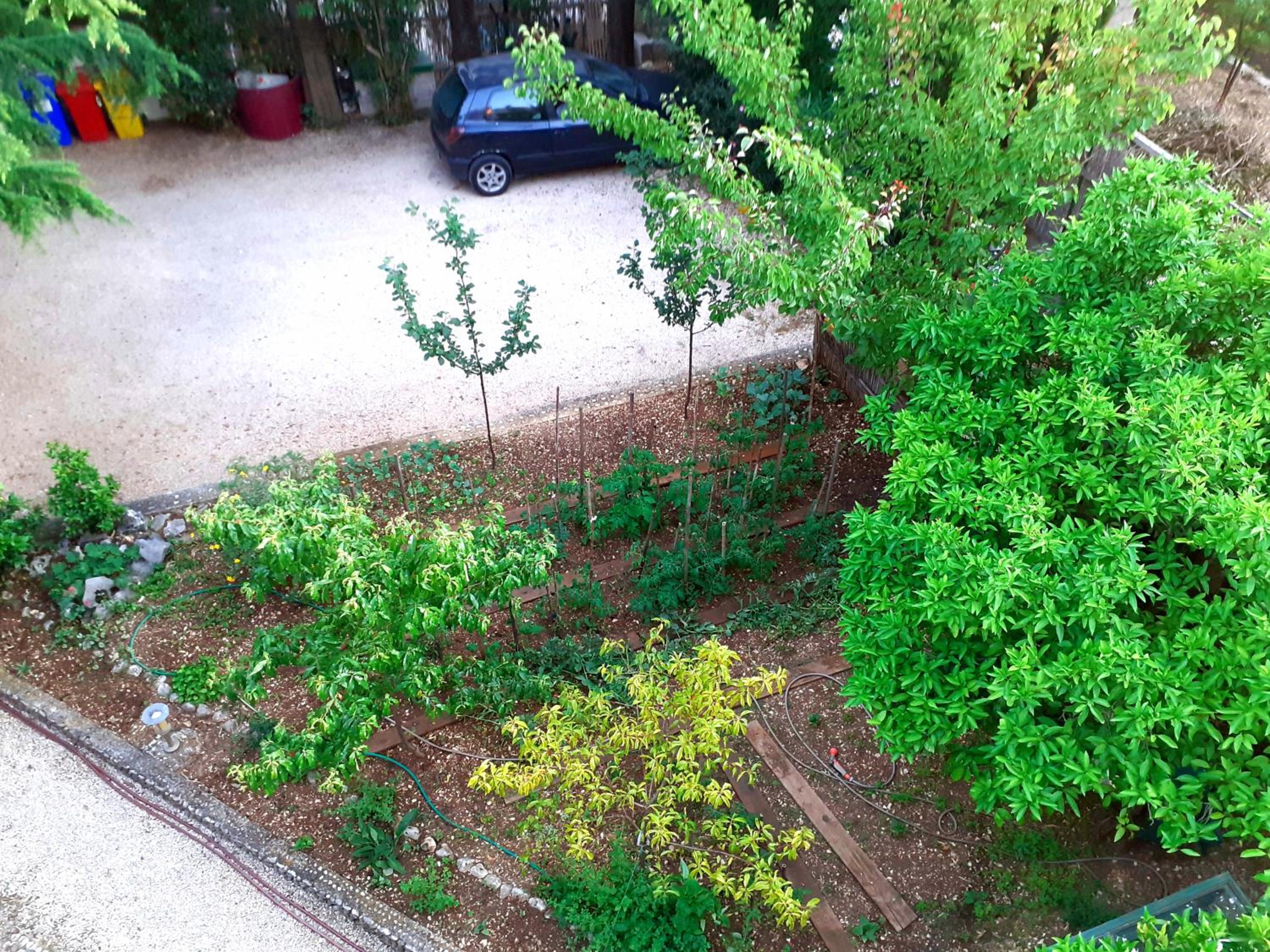 Photo 10
