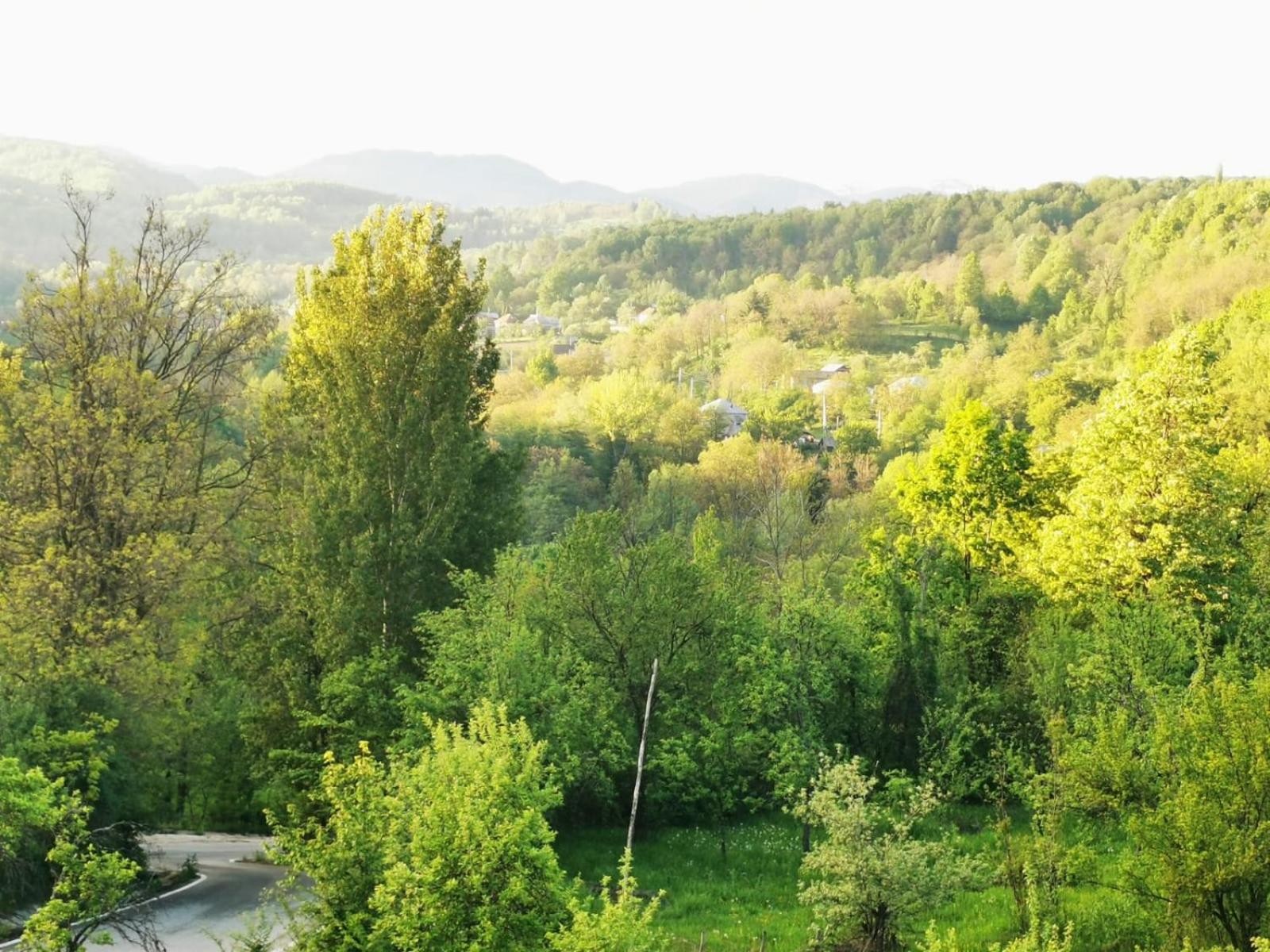 Casuta din Gradina view 4