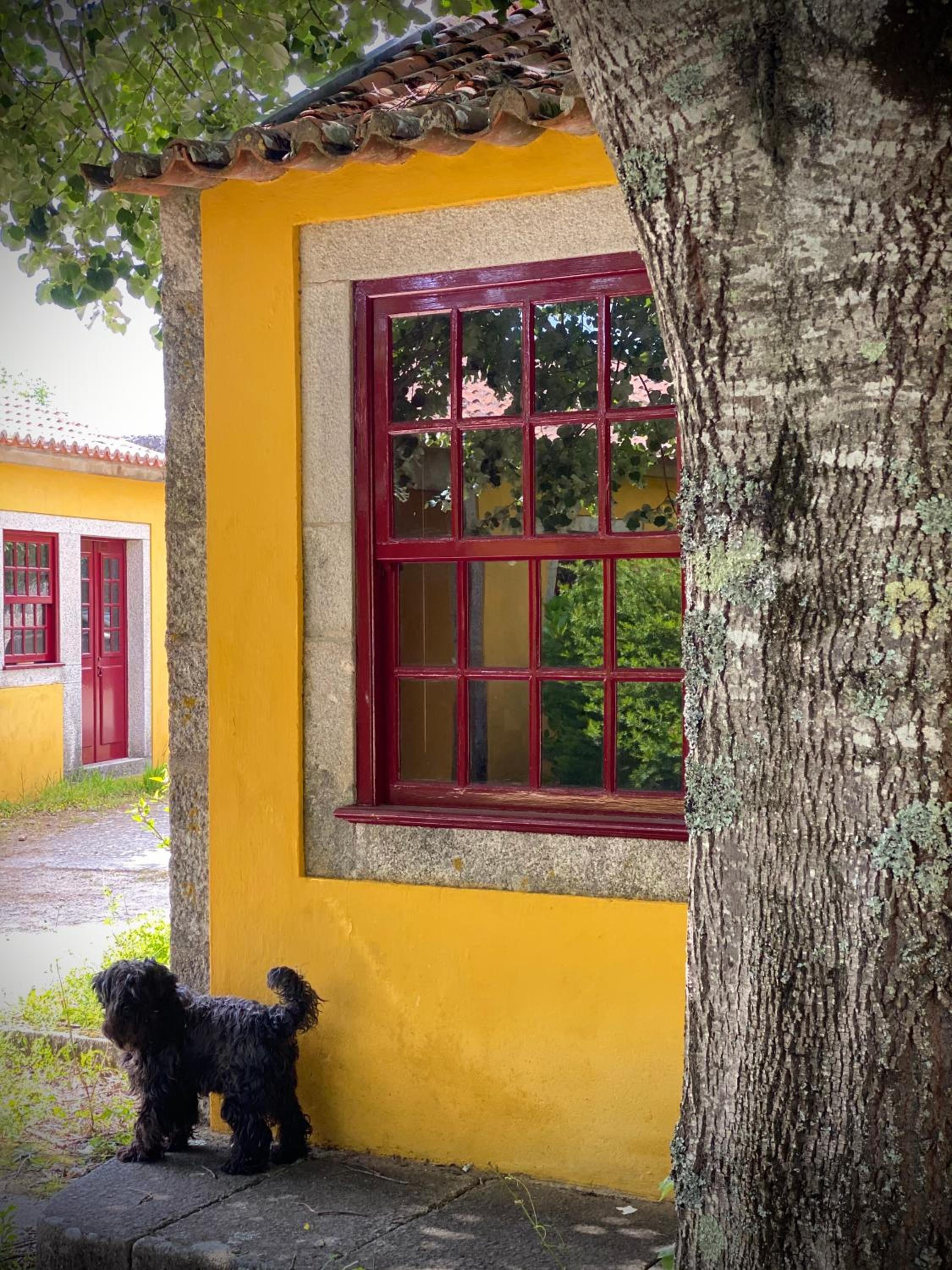 Quinta da Boa Viagem