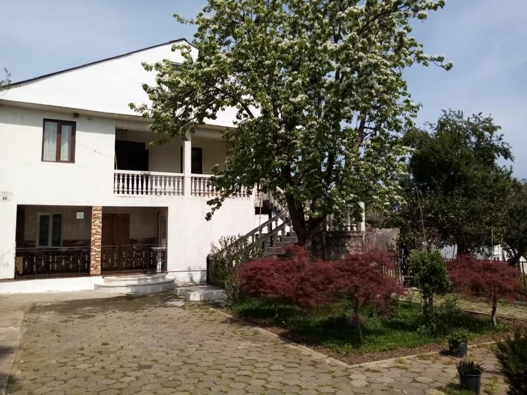 Cozy holidays Near Botanical Garden, (Chakvi) view 2
