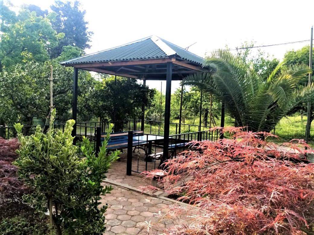 Cozy holidays Near Botanical Garden, (Chakvi) view 4