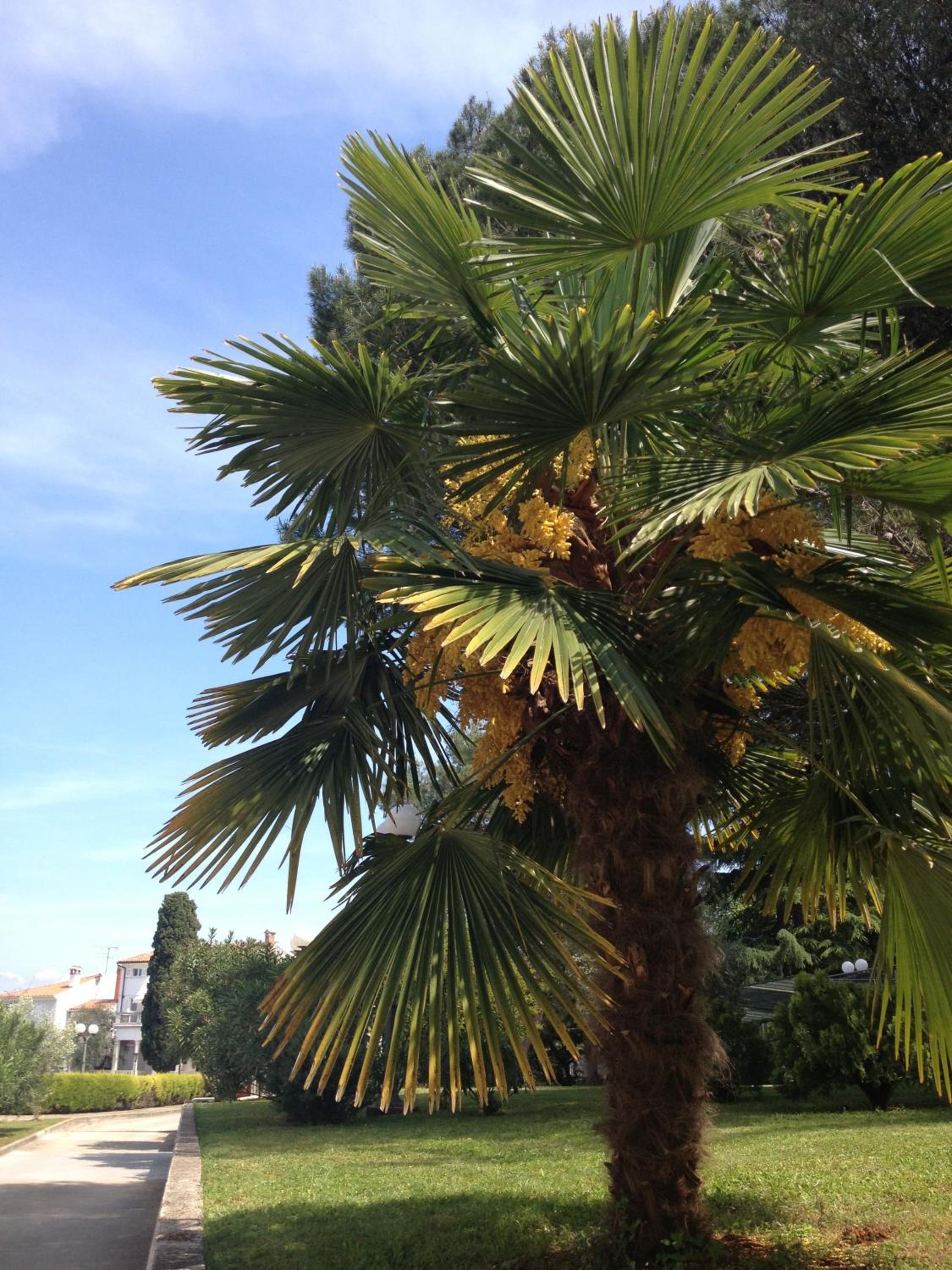 Hotel Flores - Property Image 24