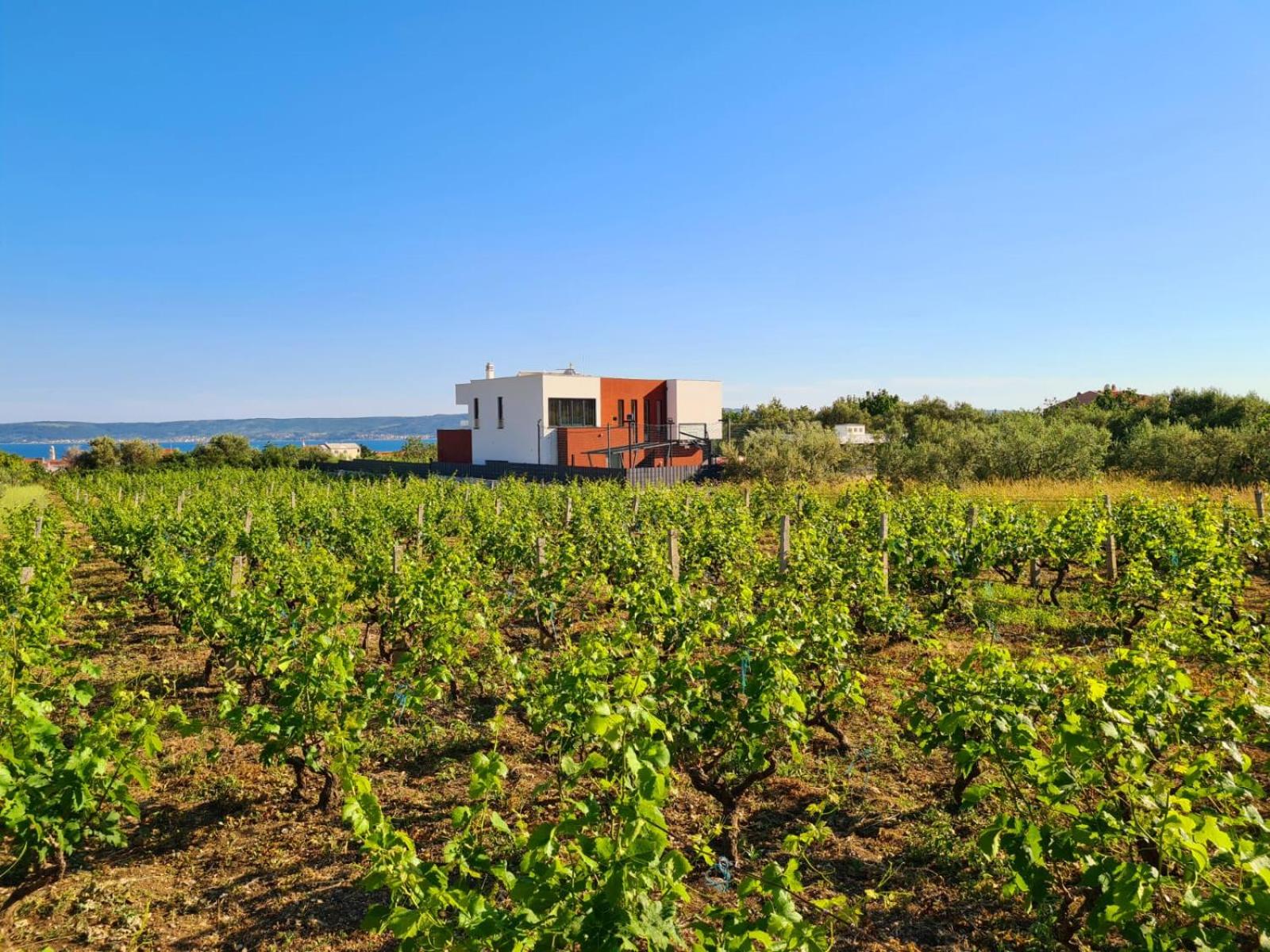 Hotel Villa SEVEN HEARTS with heated pool and private basketball playground near Split - Image 1