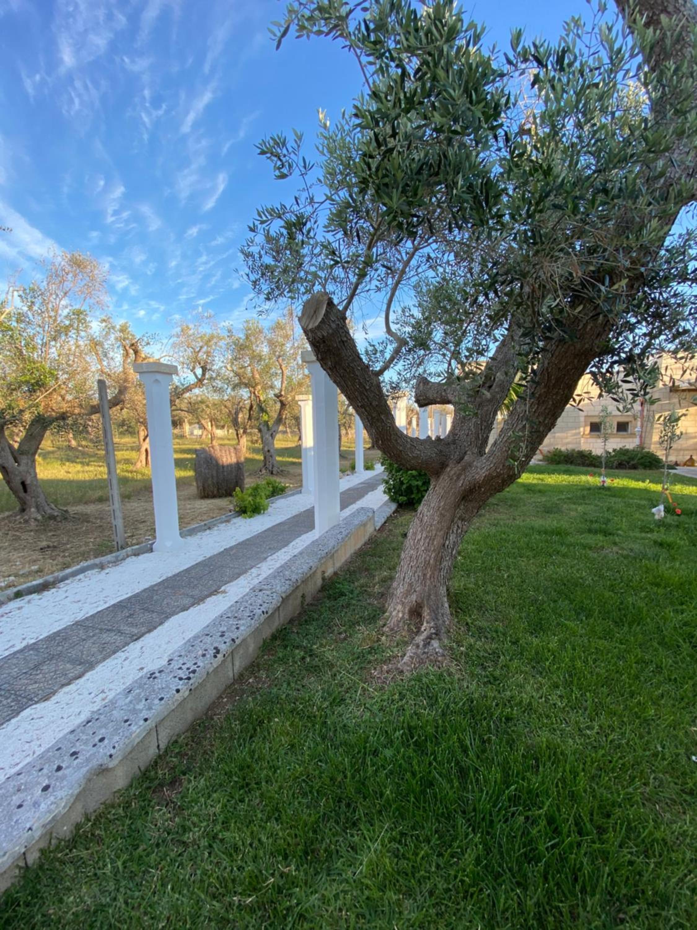 Masseria Petrusella