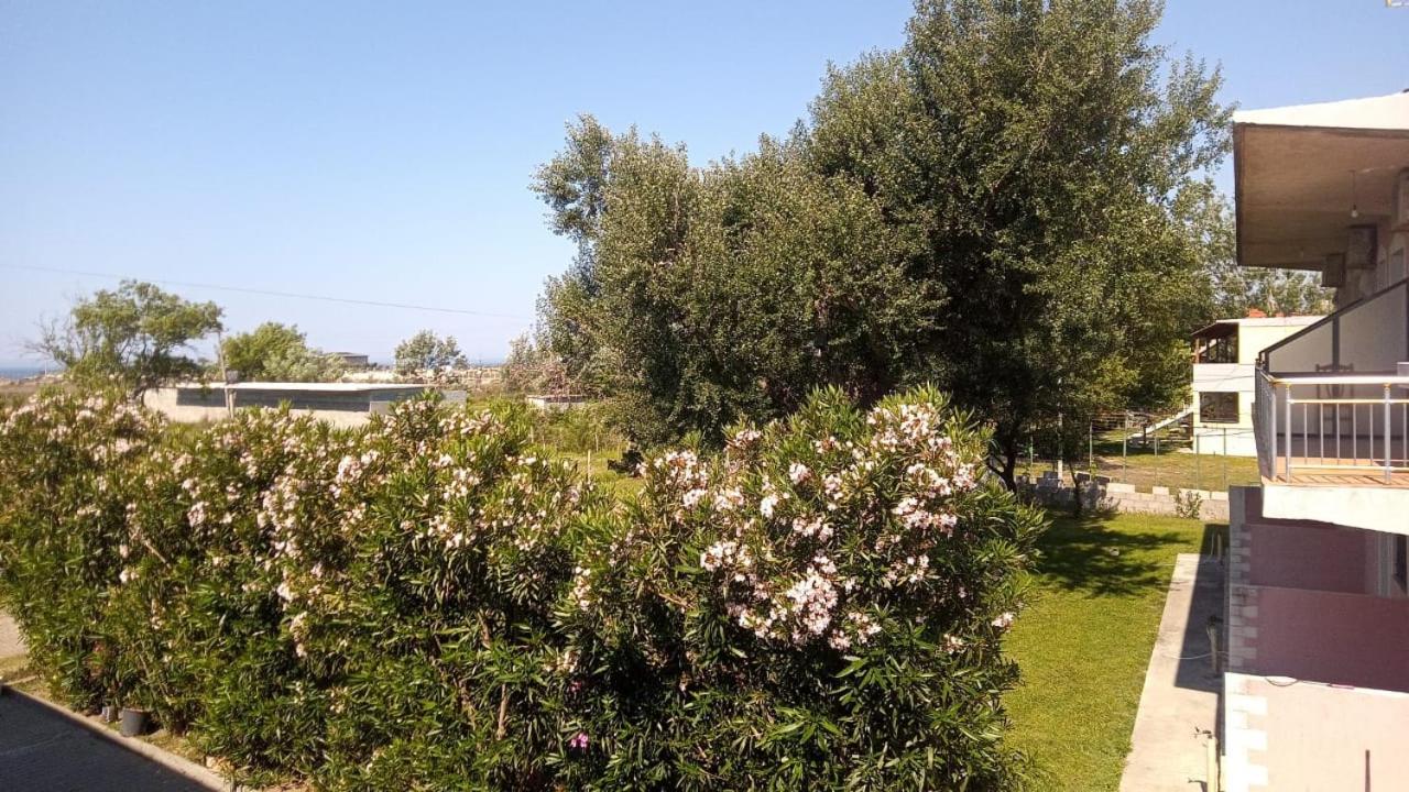 Hotel LULI