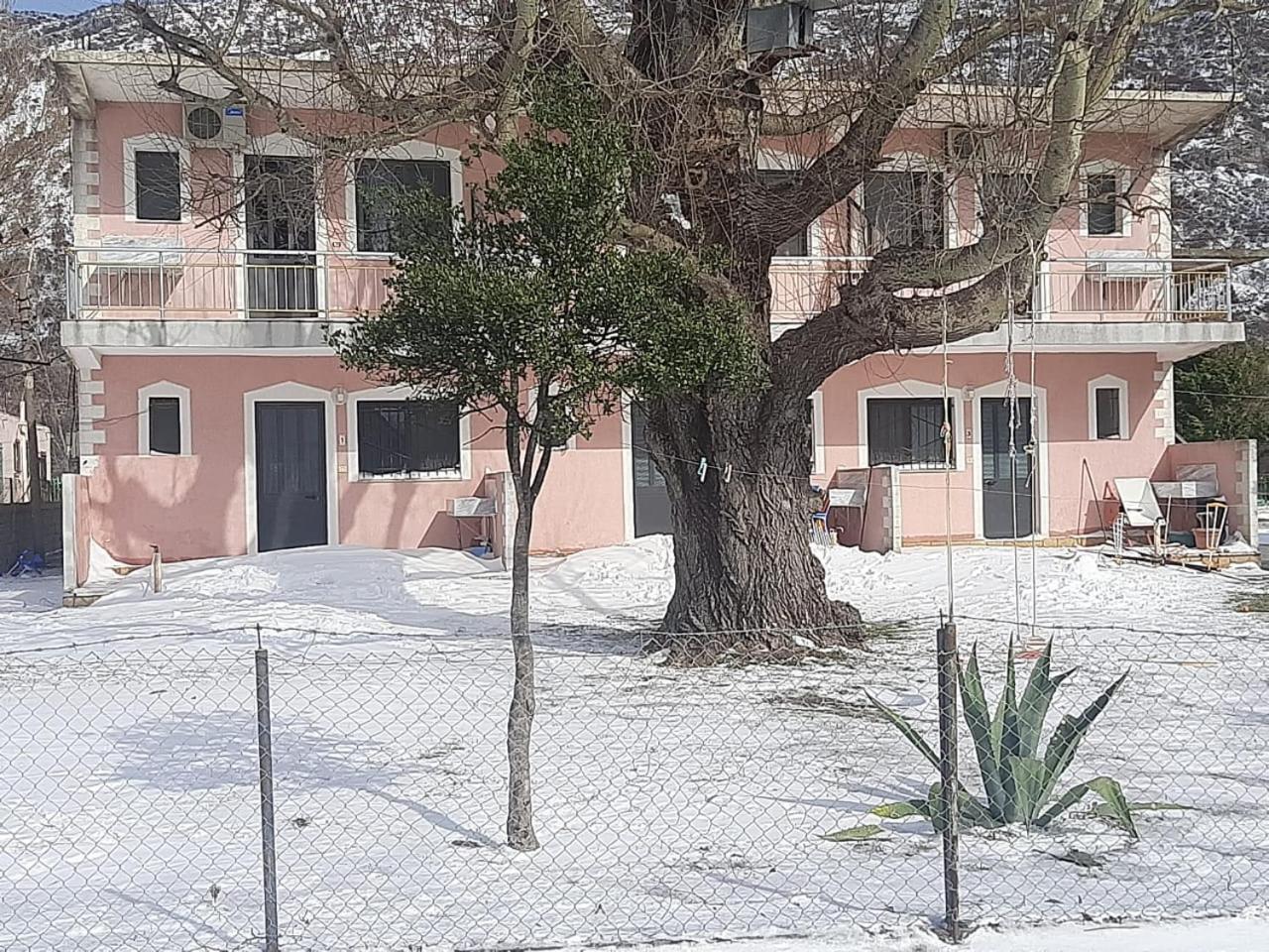 Hotel LULI